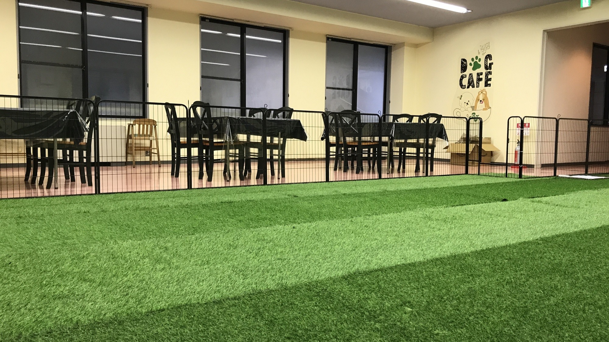 雨の日も安心 室内ドッグランで愛犬と楽しいひととき