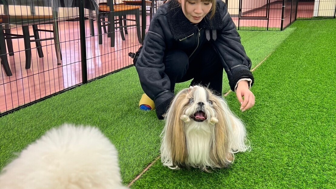 約40平米の室内ドッグラン（カフェスペース有り。）