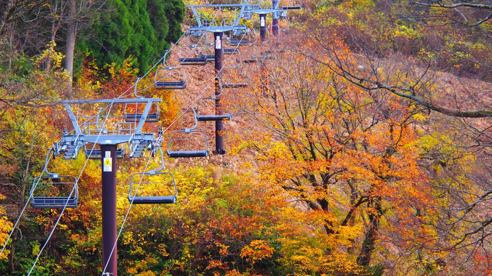 紅葉シーズンにもおすすめ白山セイモアスキー場