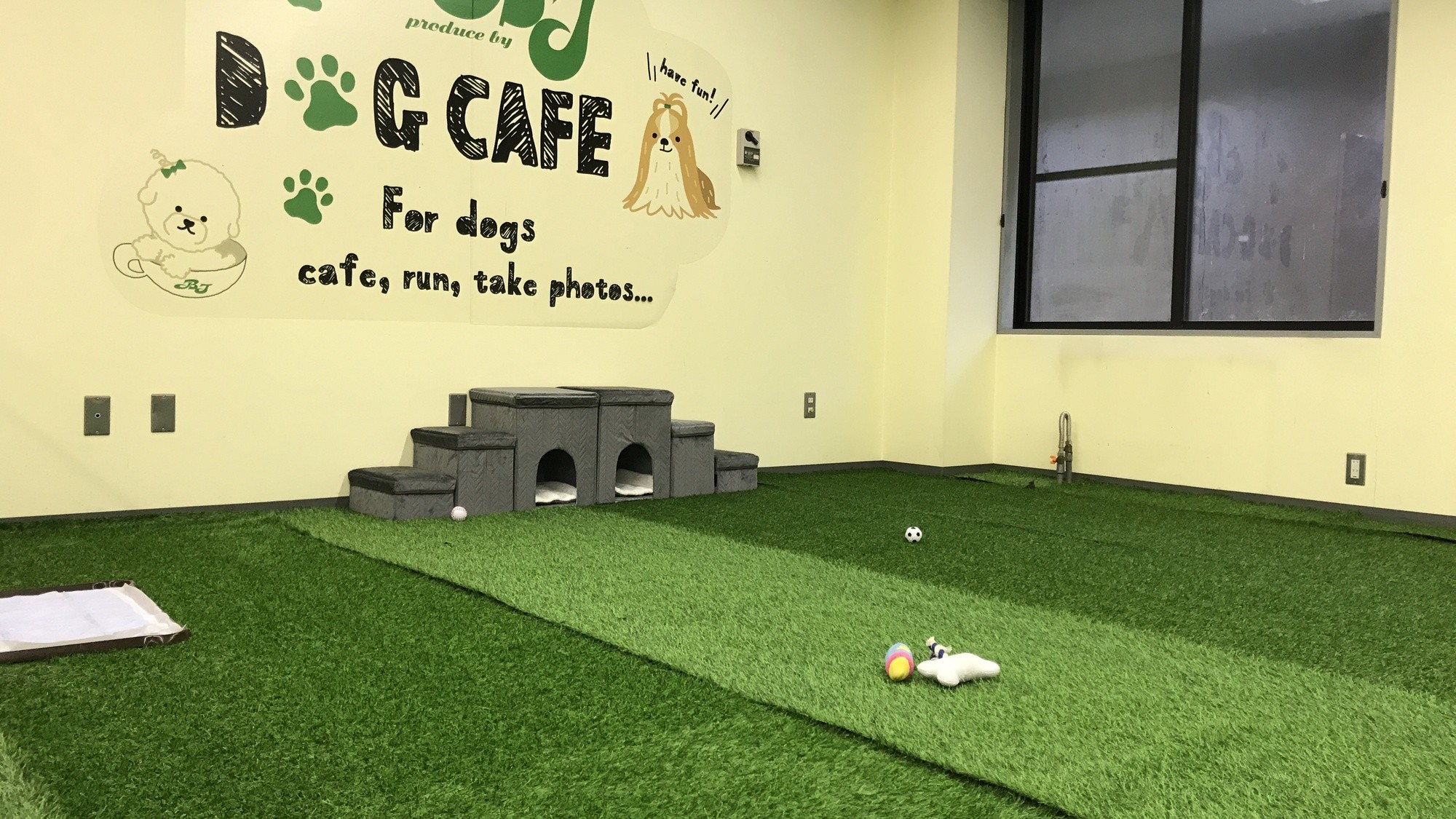 雨の日も安心 室内ドッグランで愛犬と楽しいひととき