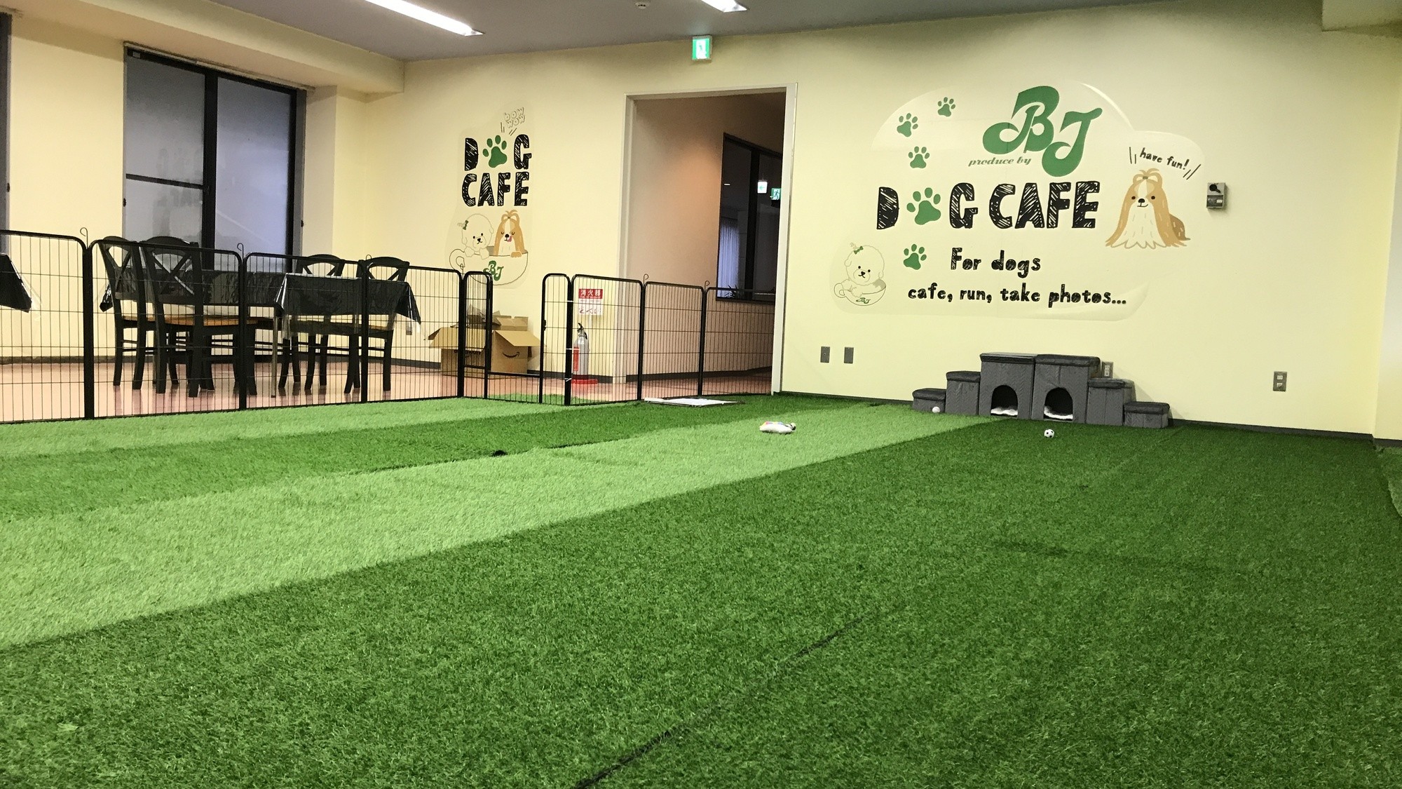 雨の日も安心 室内ドッグランで愛犬と楽しいひととき