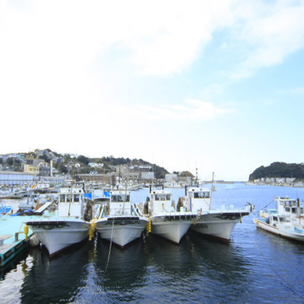 【素泊まり】歴史が培った篠島の魅力巡る篠島ぶらり旅【名鉄船割引】【楽天限定】