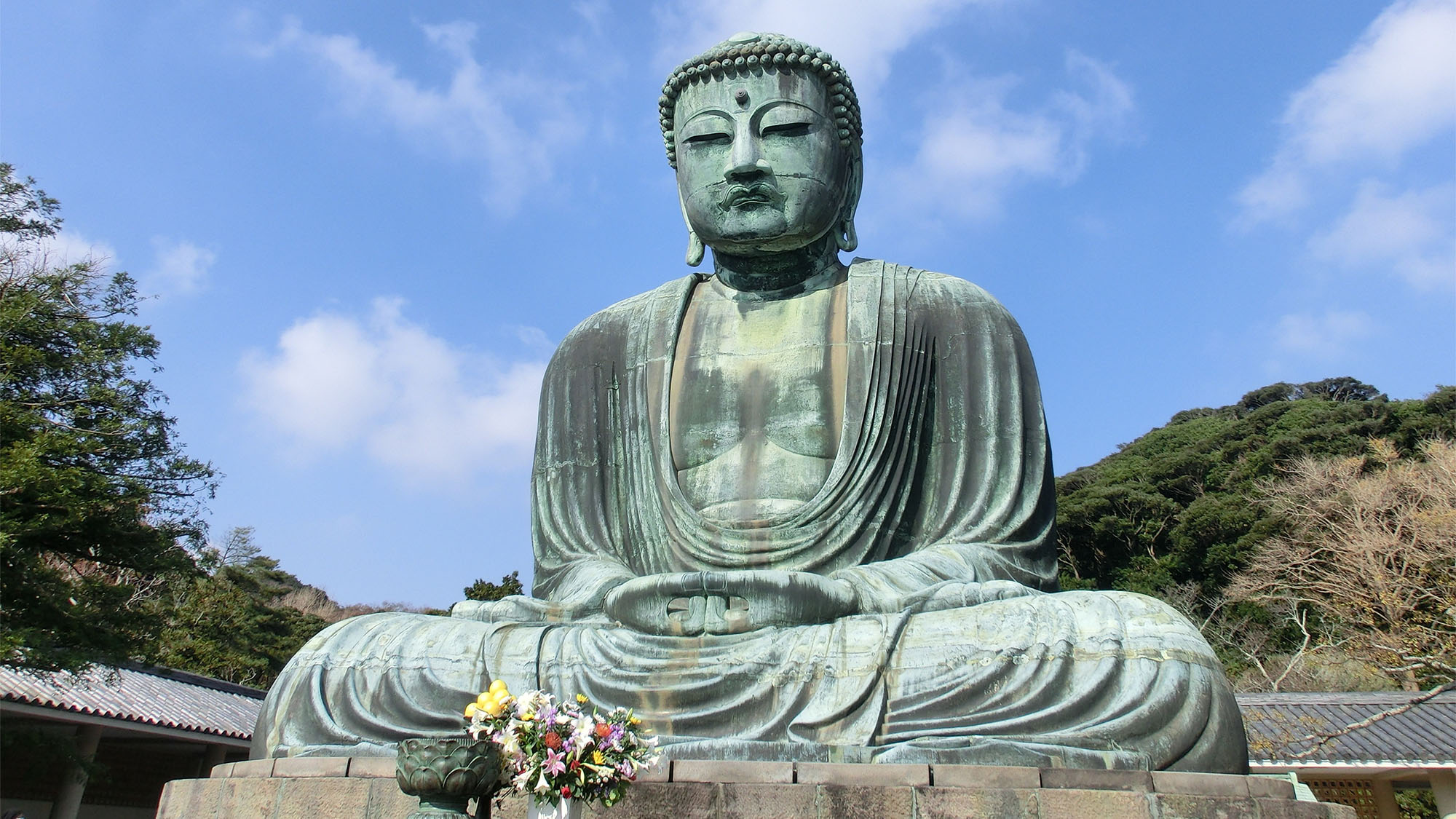 ・【鎌倉大仏】大仏様の穏やかなお顔を眺めて心が「整う」ゆったりとした時間を過ごせます