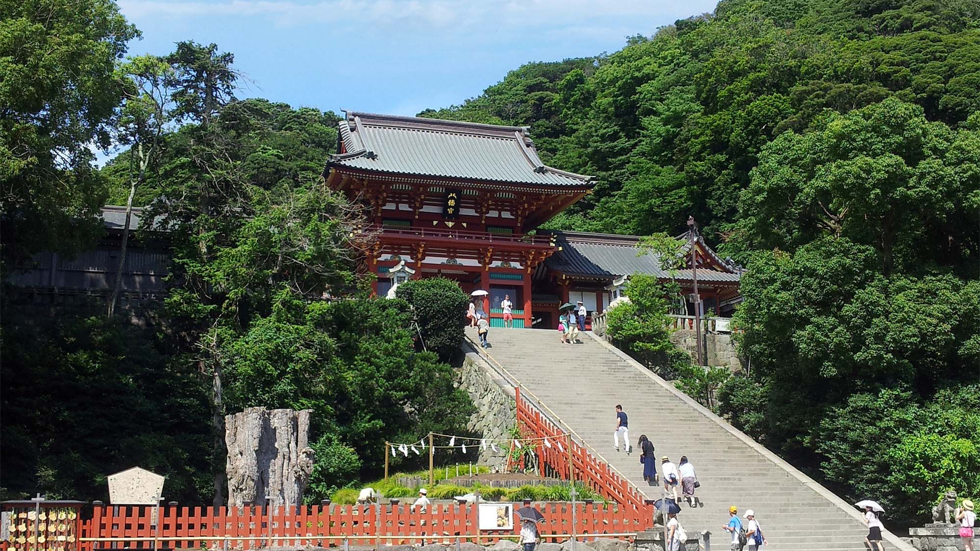 ・【鶴岡八幡宮】鎌倉の中心で変わらない歴史を見守ります