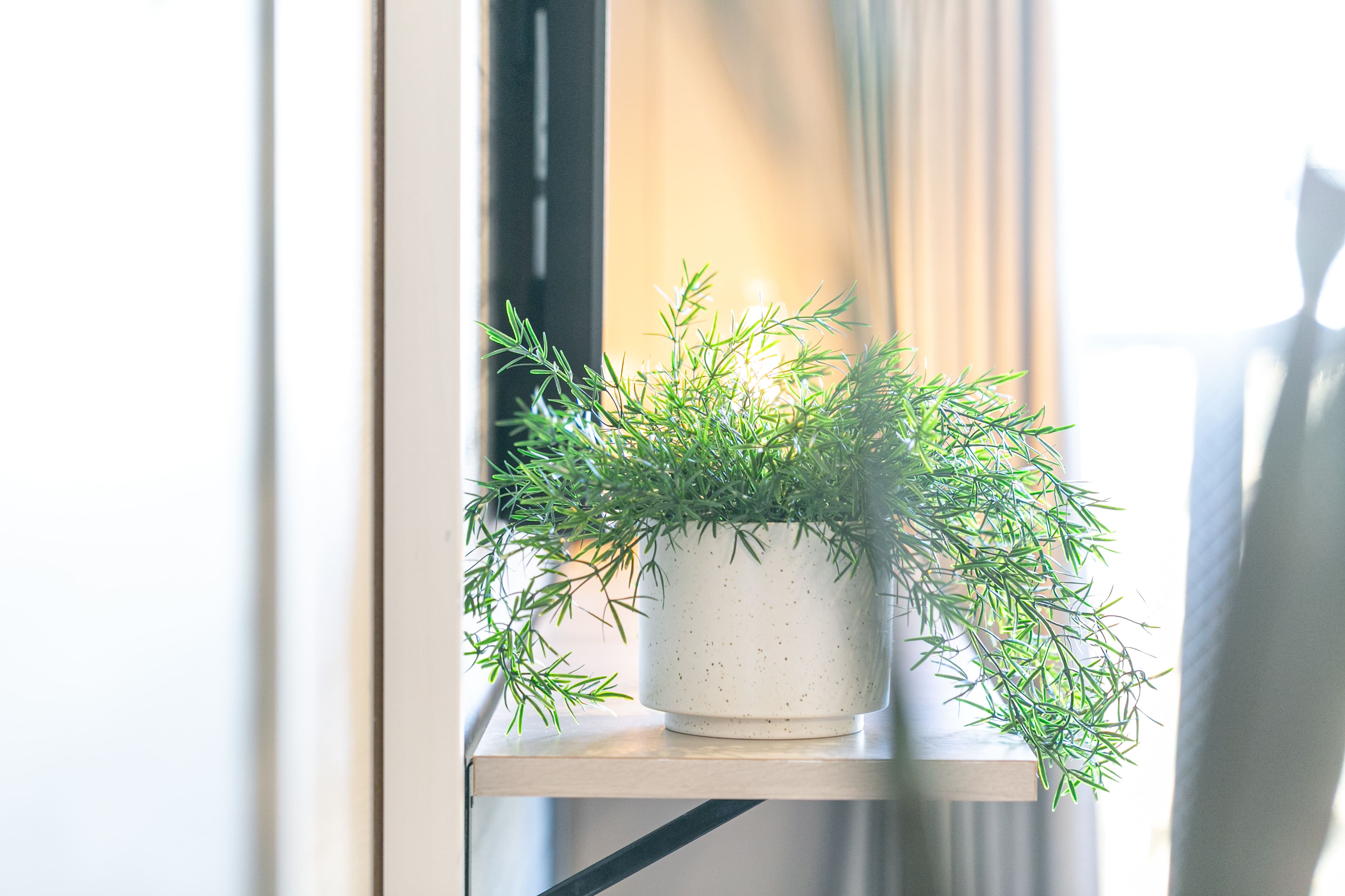 スーペリアスイート