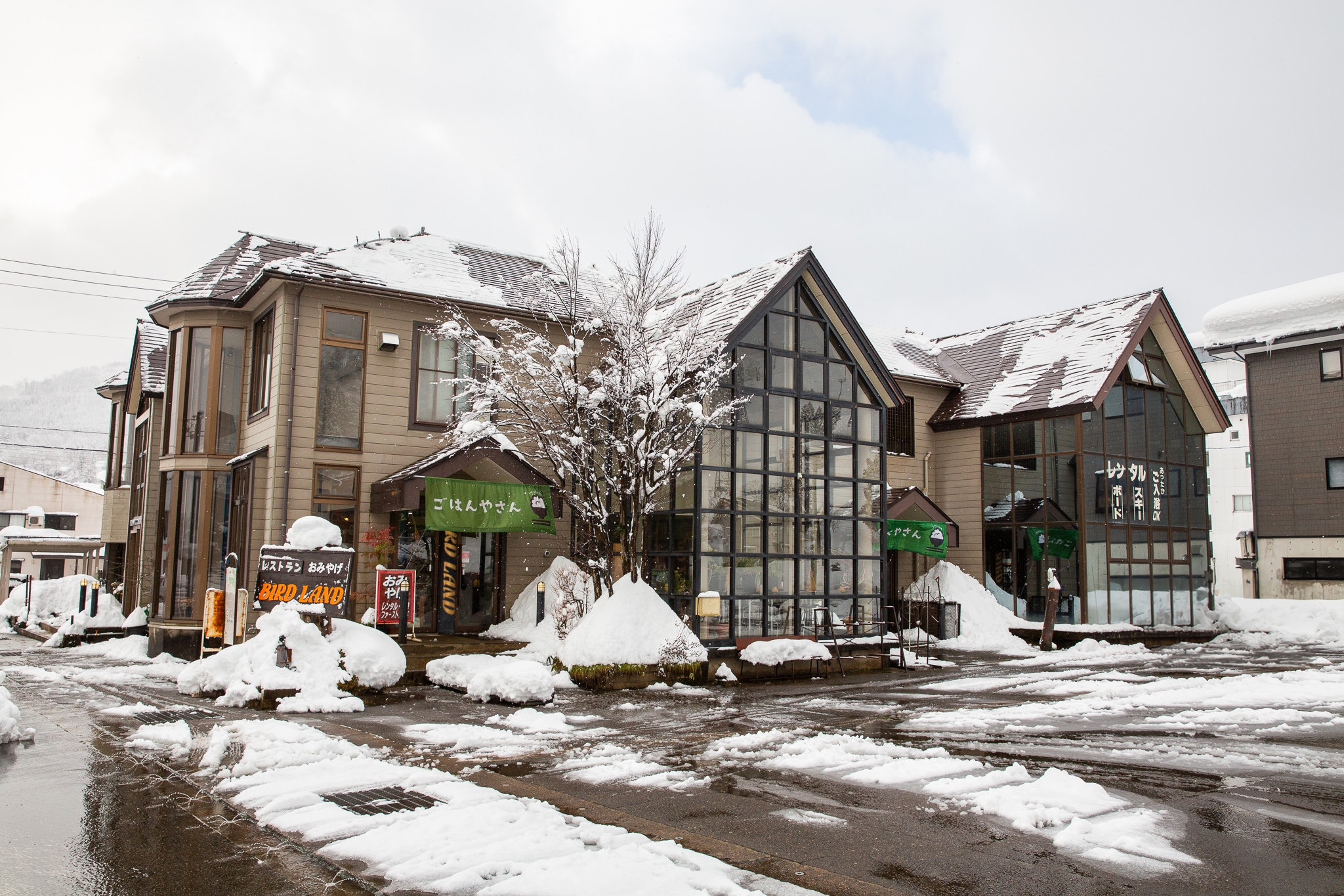 ＢＩＲＤ　ＬＡＮＤ