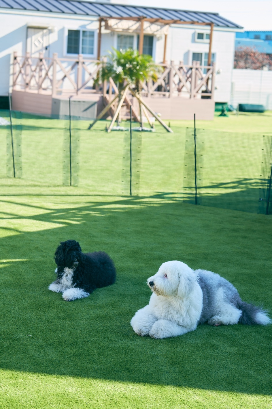 【愛犬OK】トレーラーハウス1棟貸し（素泊まり）プラン｜ペット料金無料｜BBQグリル付｜焚火スペース