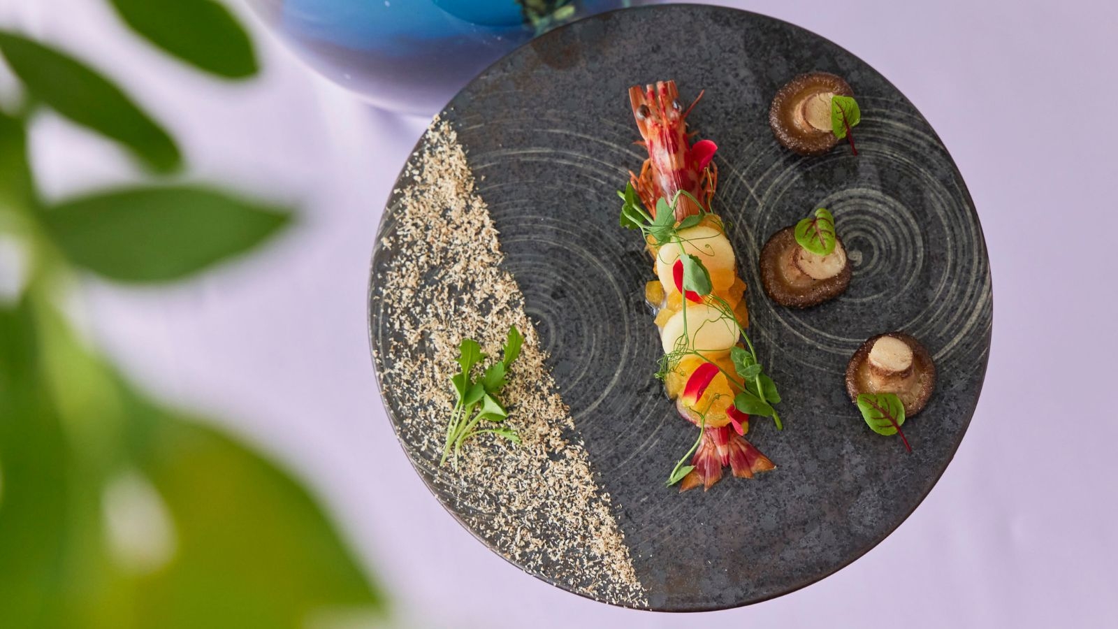 【1泊2食｜モニター 】KIARASTYLEフレンチ×スパ×フィットネス×ラウンジで整う｜19時半