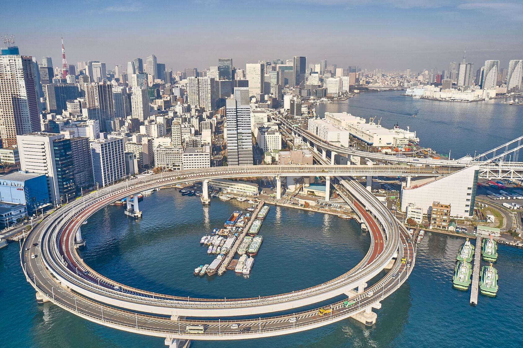 [周辺スポット］ゆりかもめ