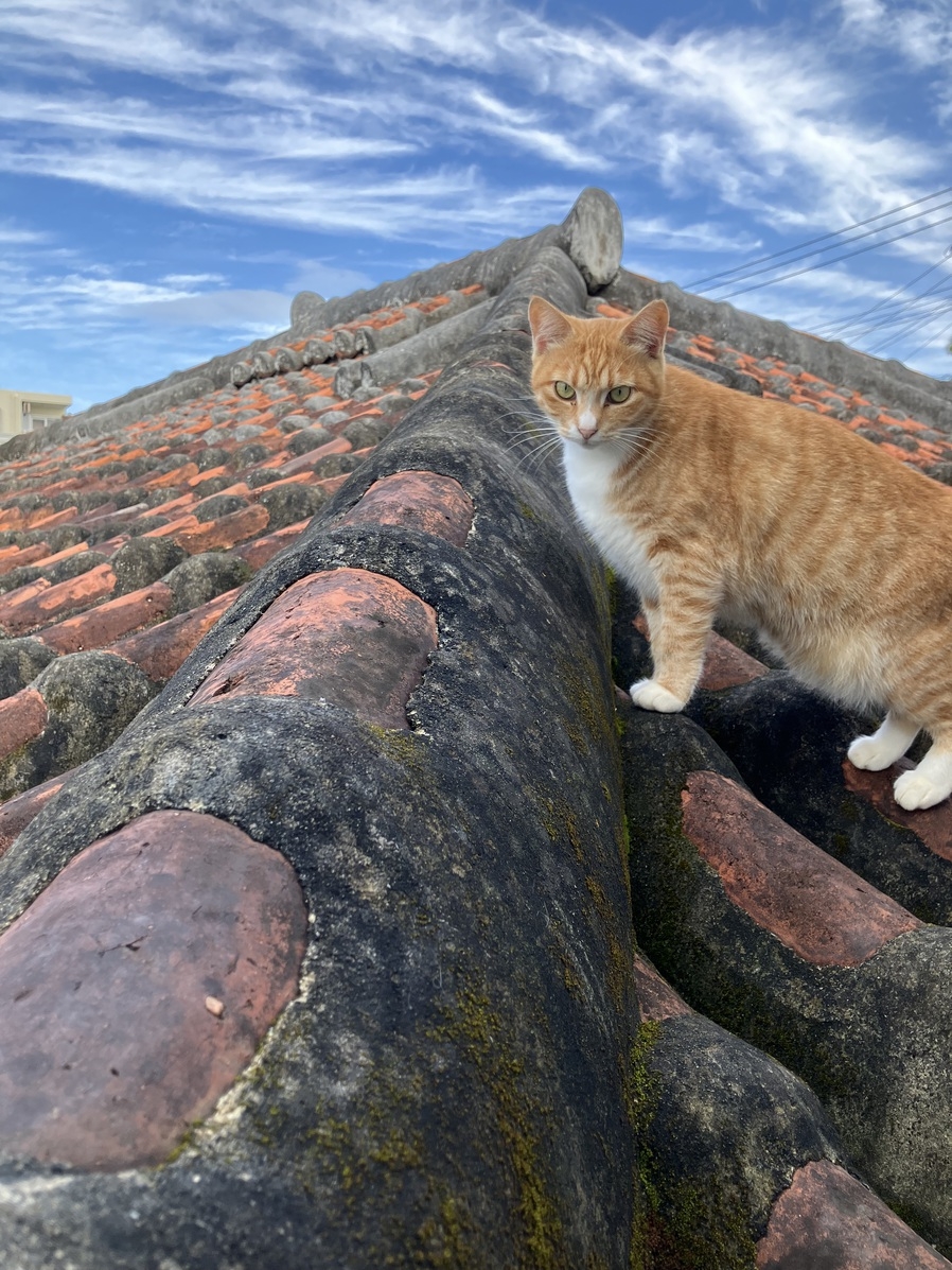 ご夫婦や友人達で3泊以上がお得！美しいうづくりの宿「あかがーらpremium」貸切プラン（送迎無料）