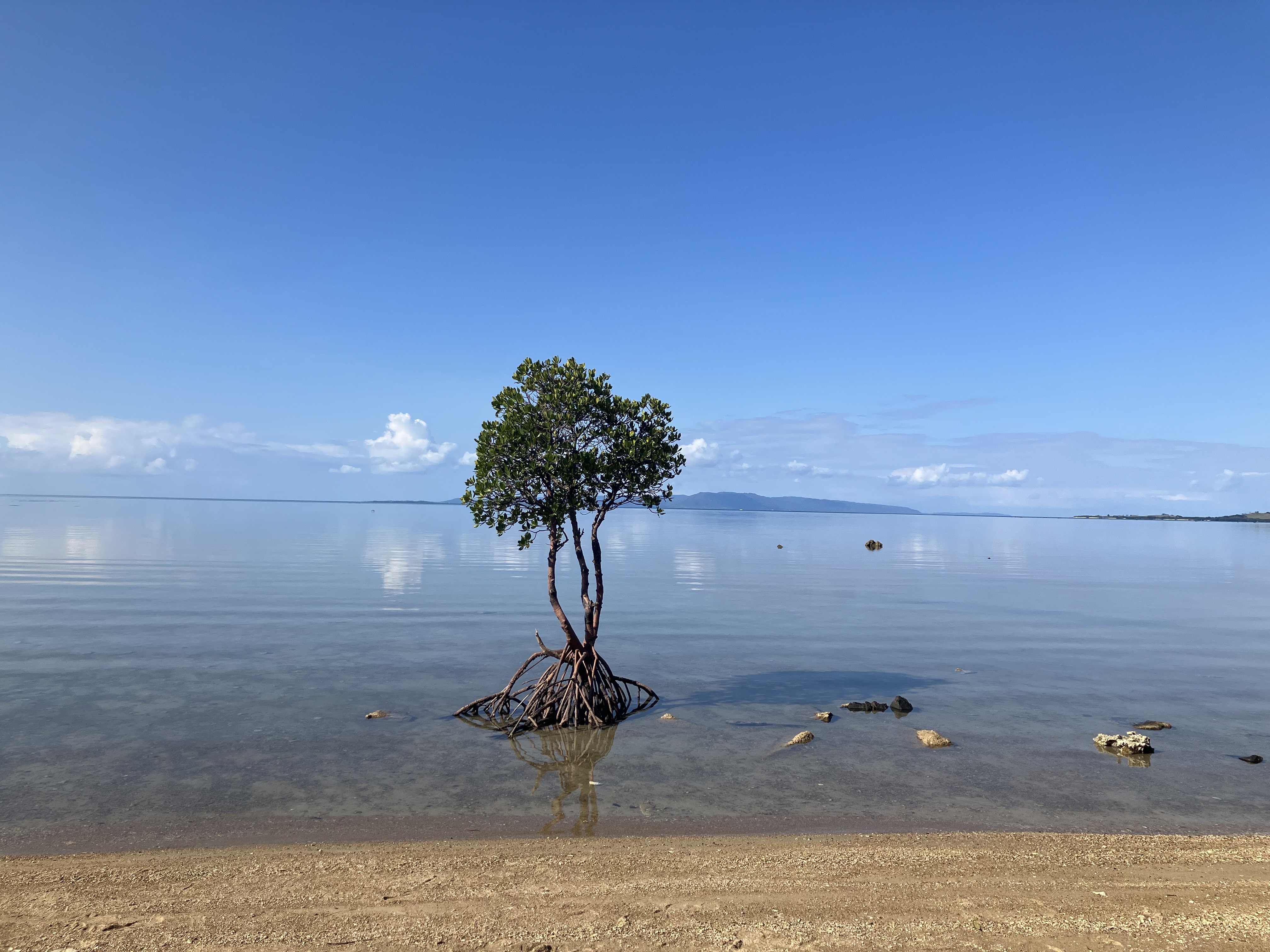70歳以上プラン