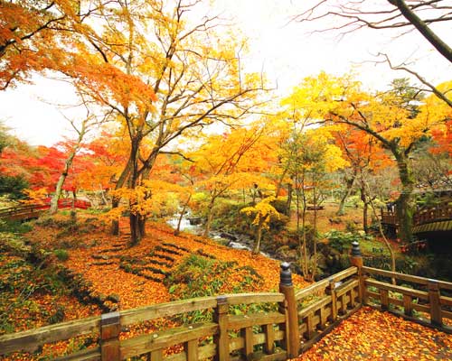 熱海梅園の紅葉