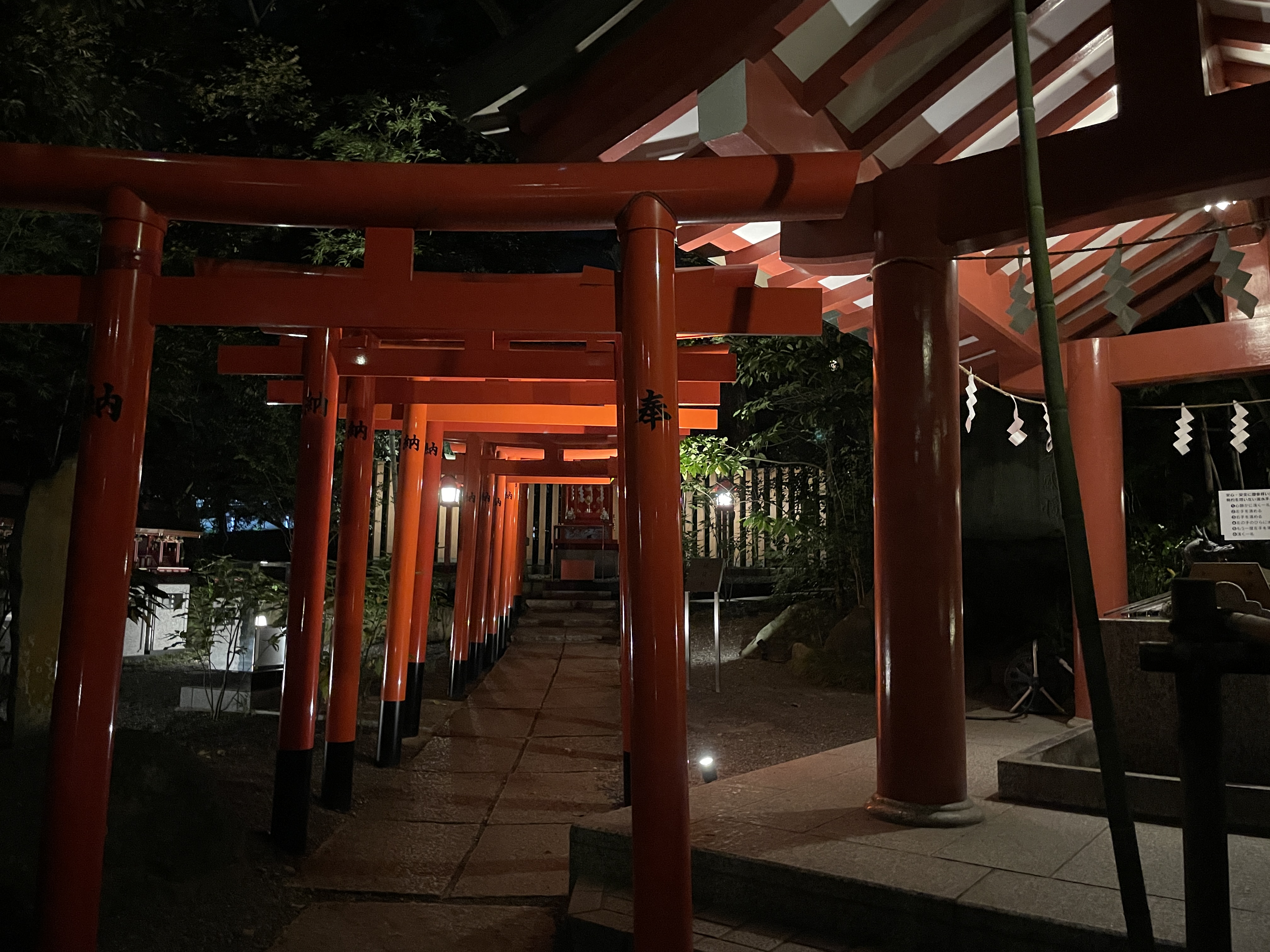 夜の来宮神社