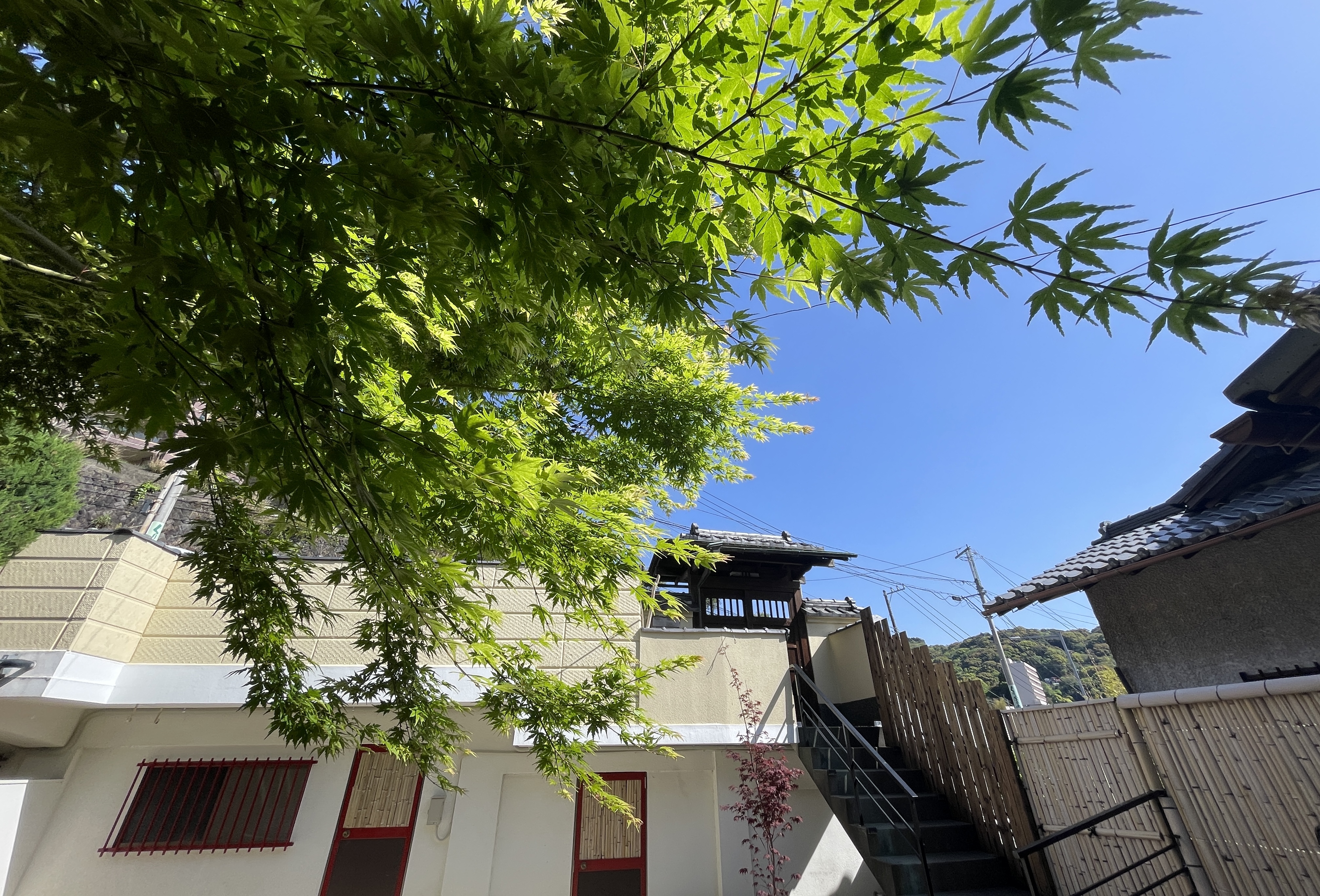 日本庭園（夏）