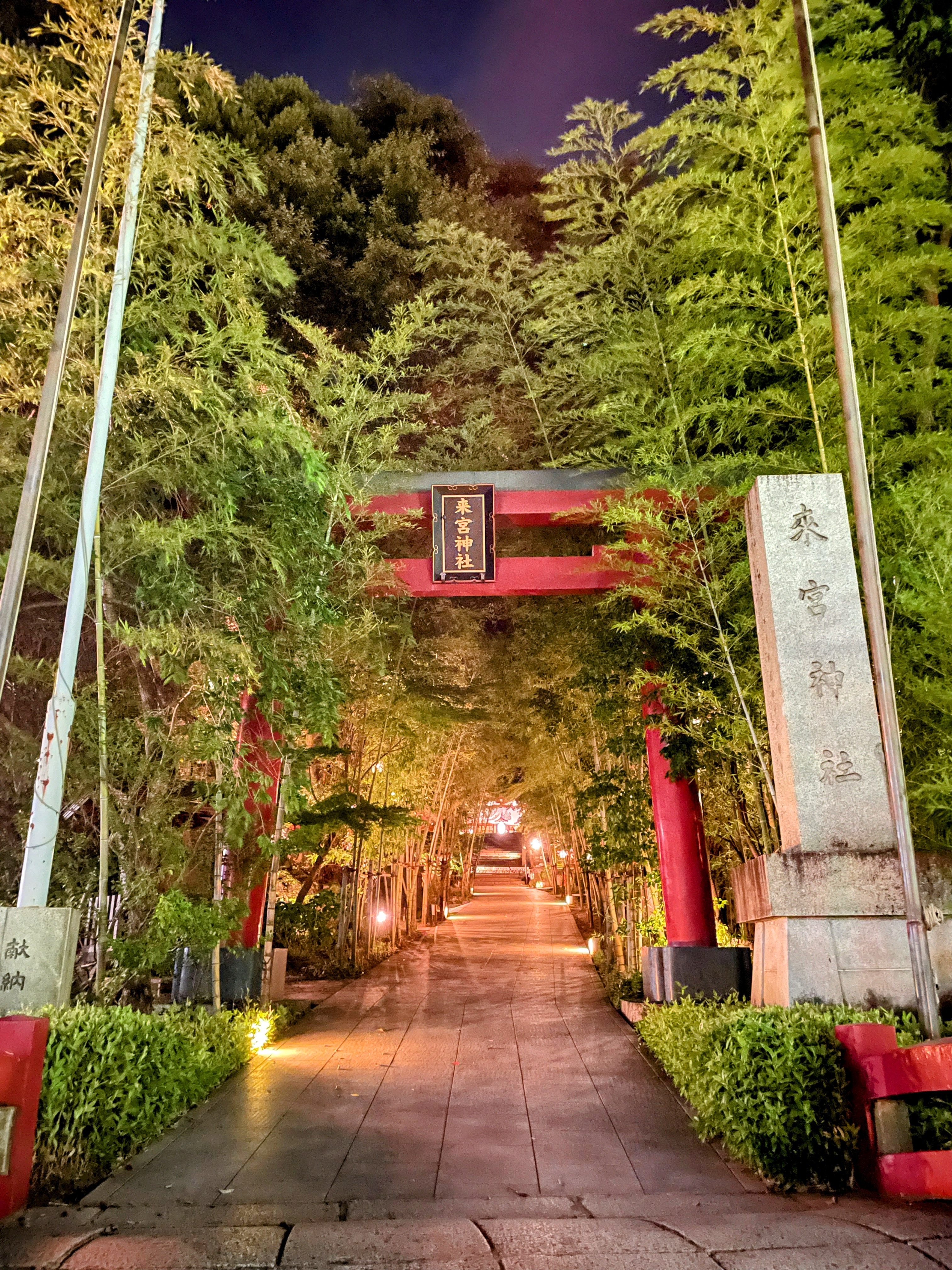 ライトアップされた来宮神社