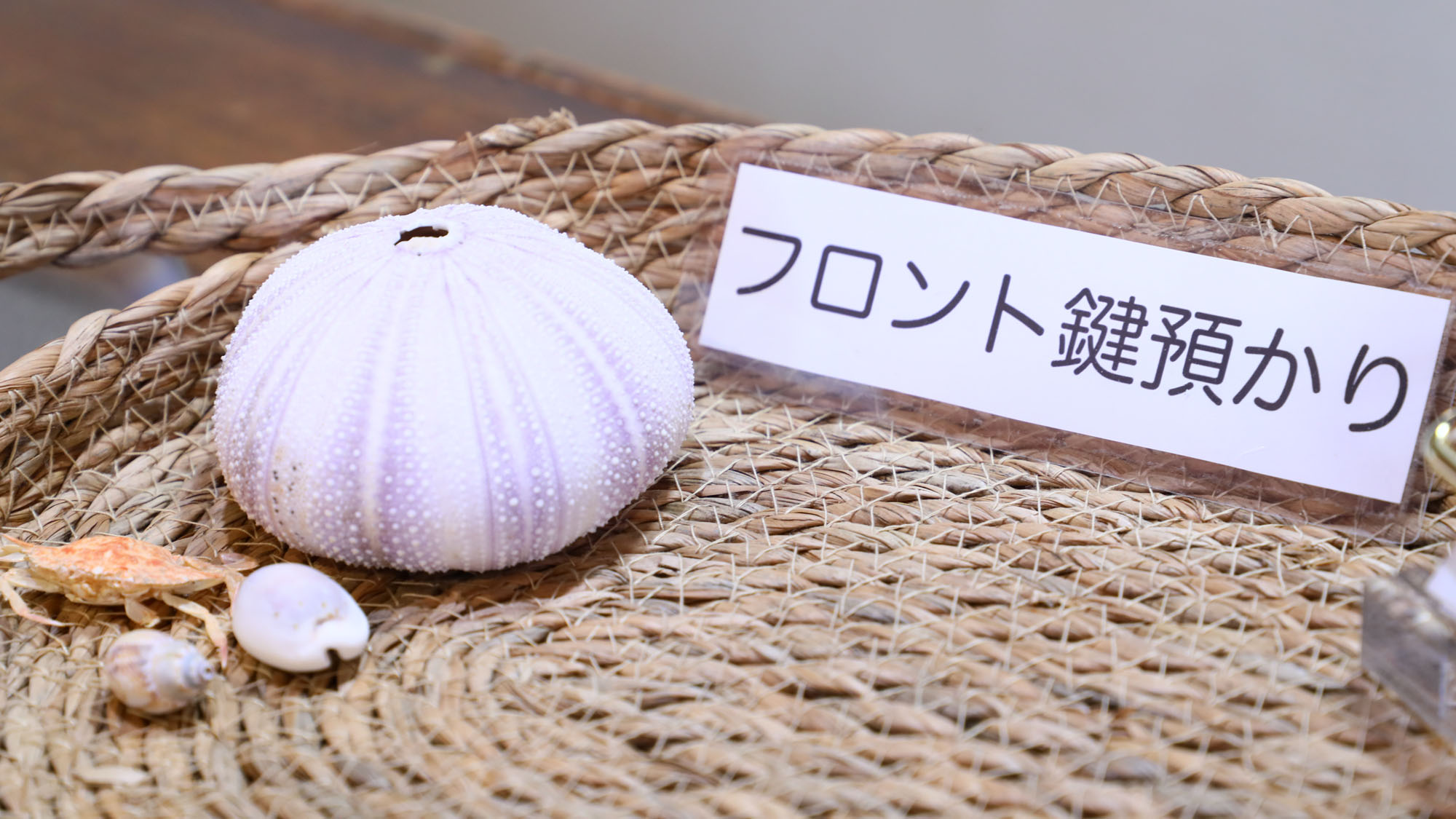 【館内＿イメージカット】