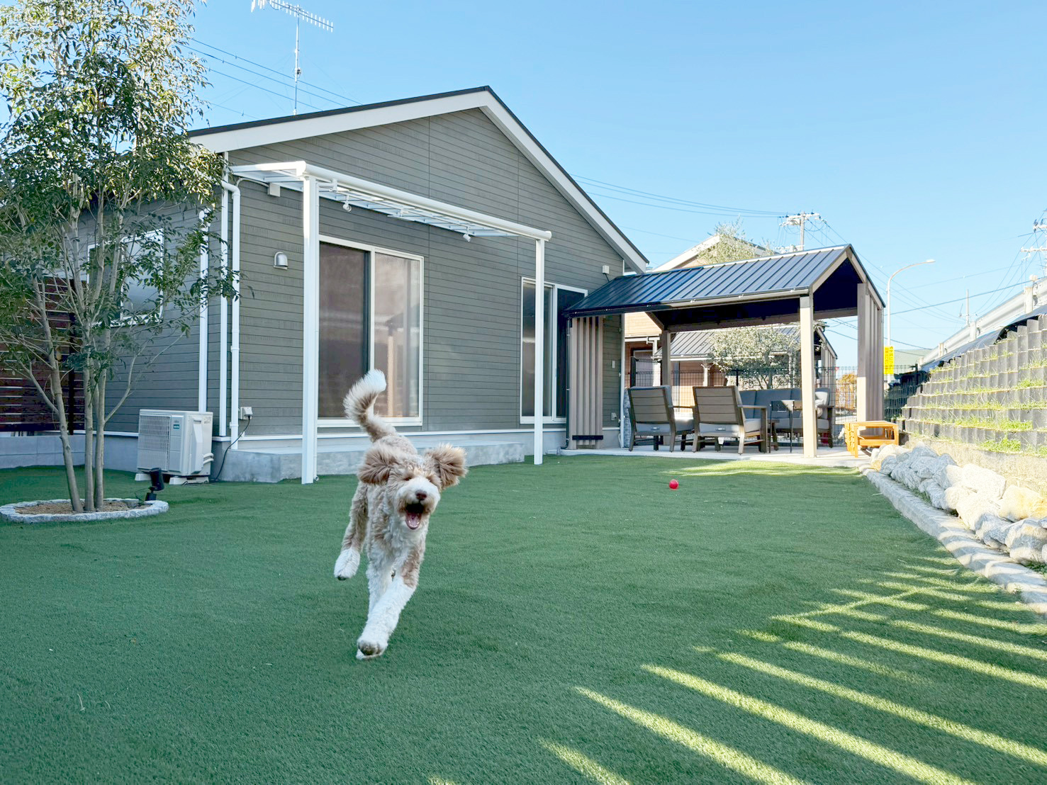 ＢＢＱをしながら、ワンちゃんはドッグランで大はしゃぎ！