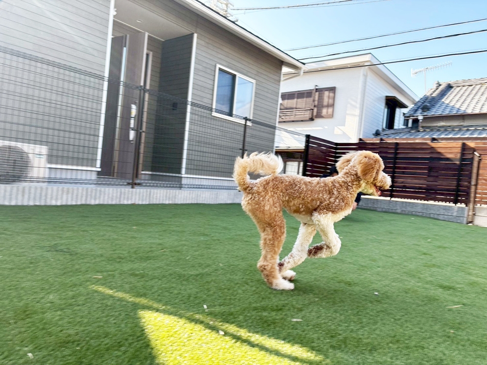 〈ペット可〉令和7年12月オープン★愛犬と泊まれるプライベートサウナ・ドッグラン付1棟貸切新築別荘