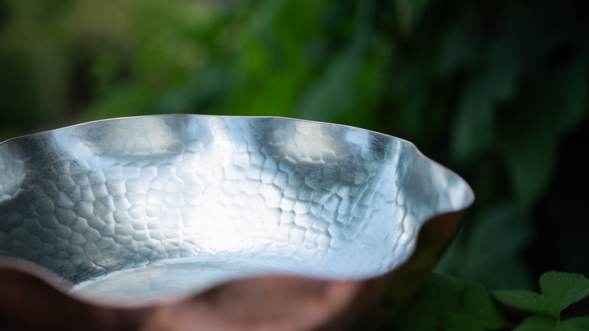 Image.器の美しさに、心奪われる