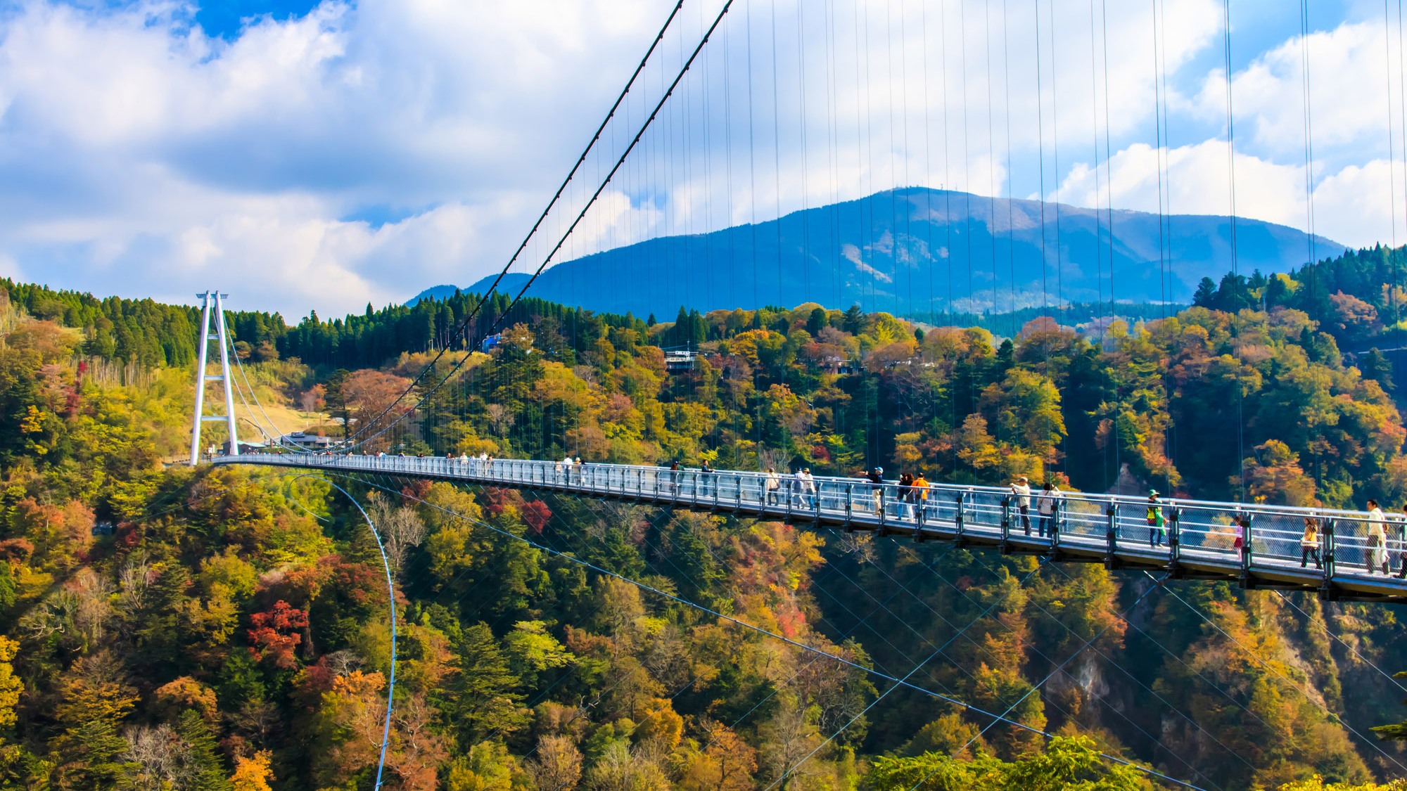 【九重夢大吊橋】当館より車で40分