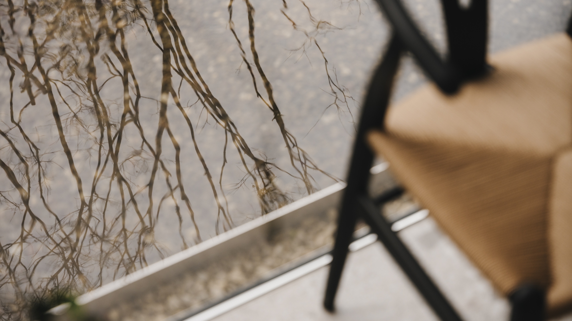 Image.枝が、ガラスの中で別の季節になっていた。