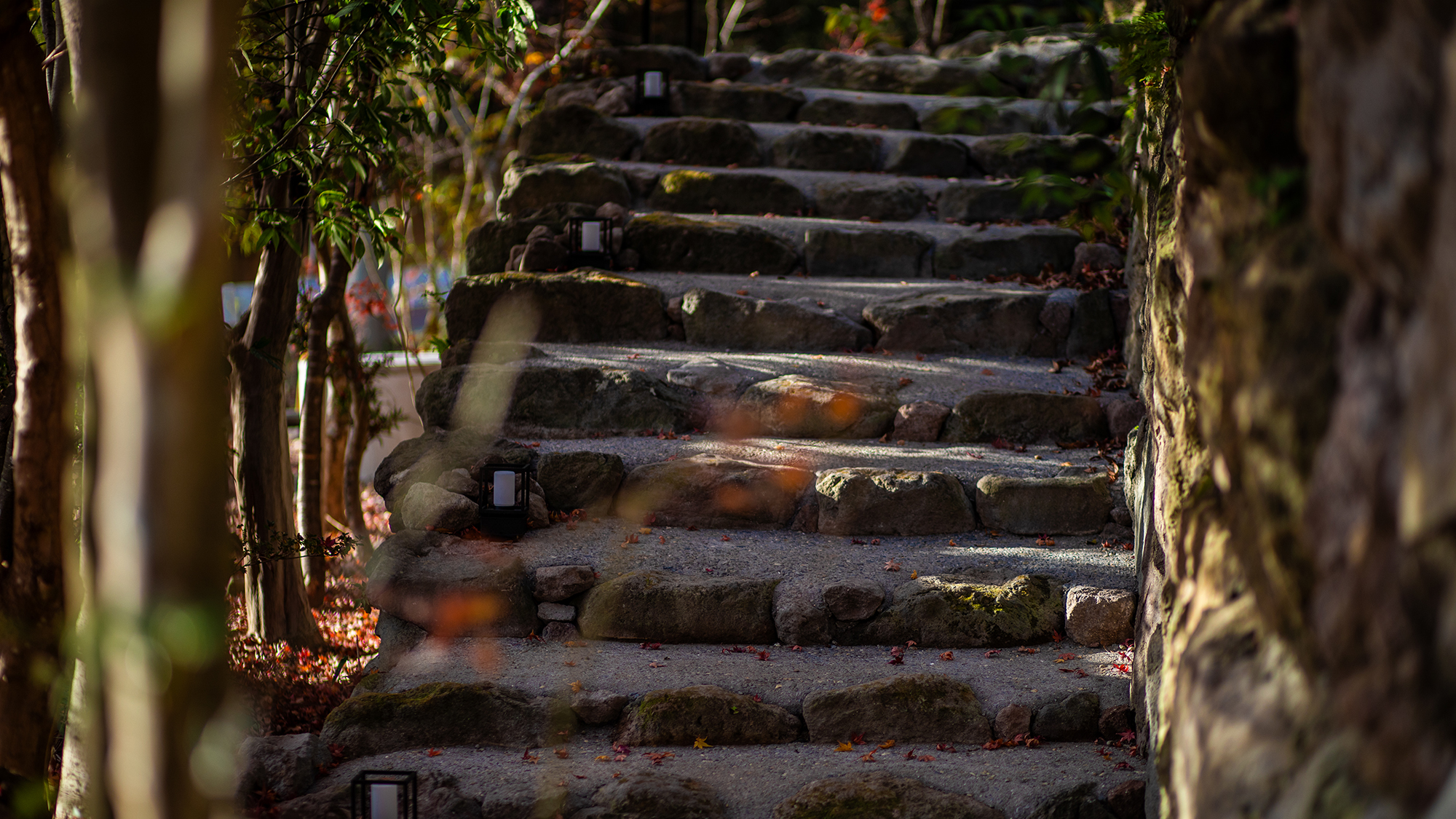 View. 目に映る全てが特別な滞在を予感させる
