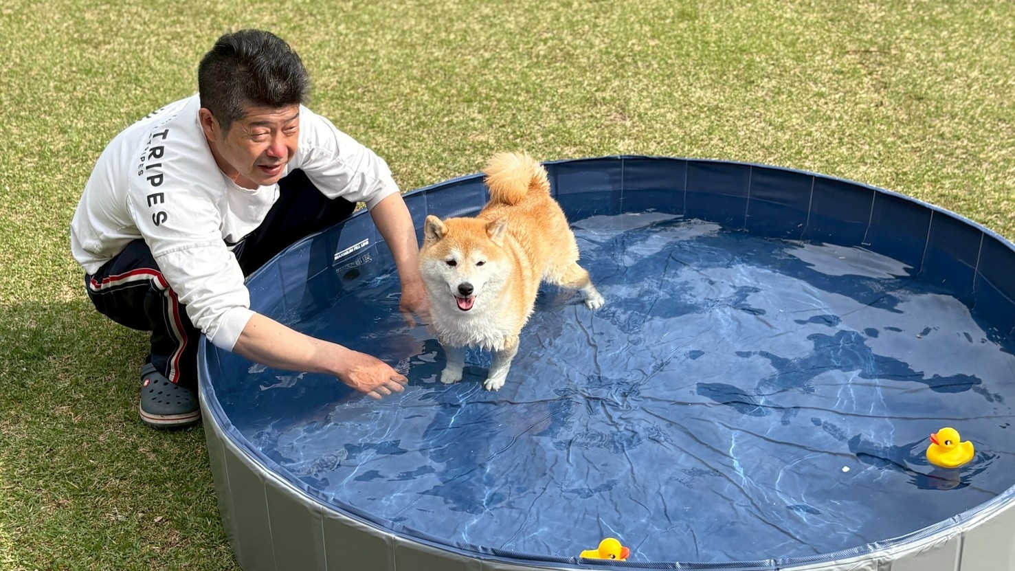【8月限定】松阪牛すき焼き鍋＆ミニうなぎまぜご飯付！愛犬と夏のスタミナチャージプラン◆愛犬可