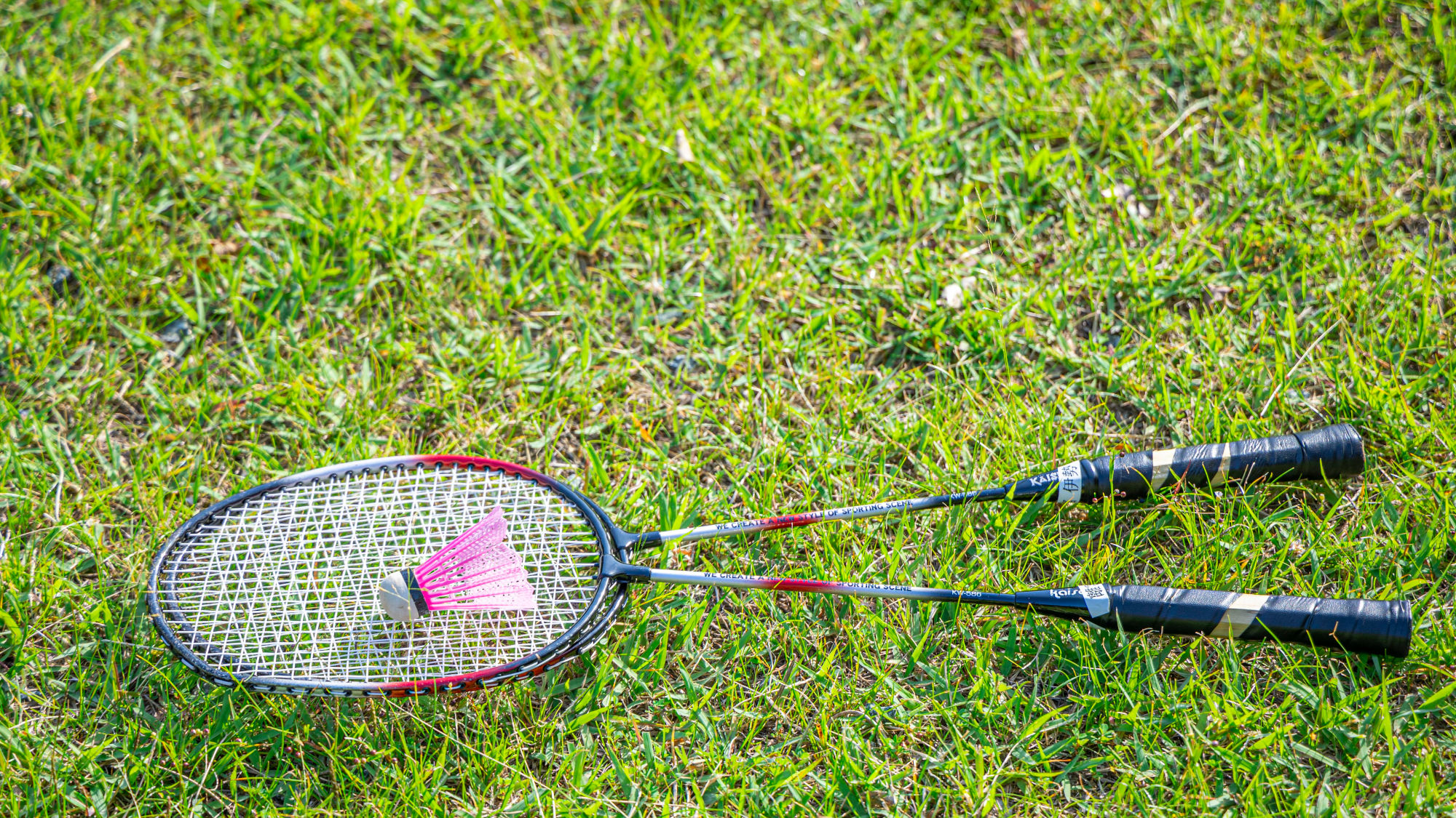 アクティビティ