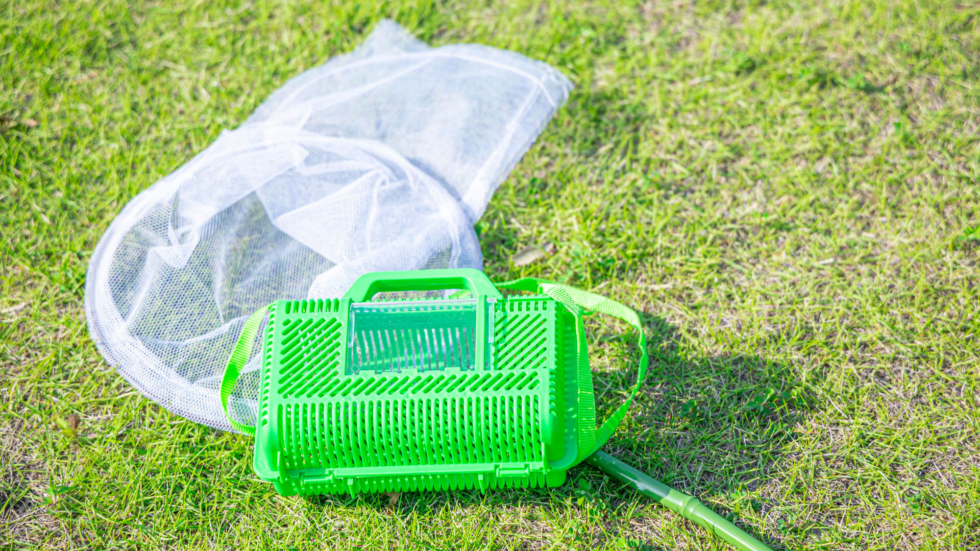 アクティビティ