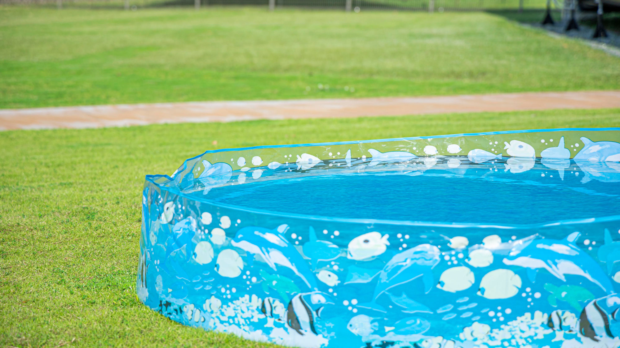 アクティビティ