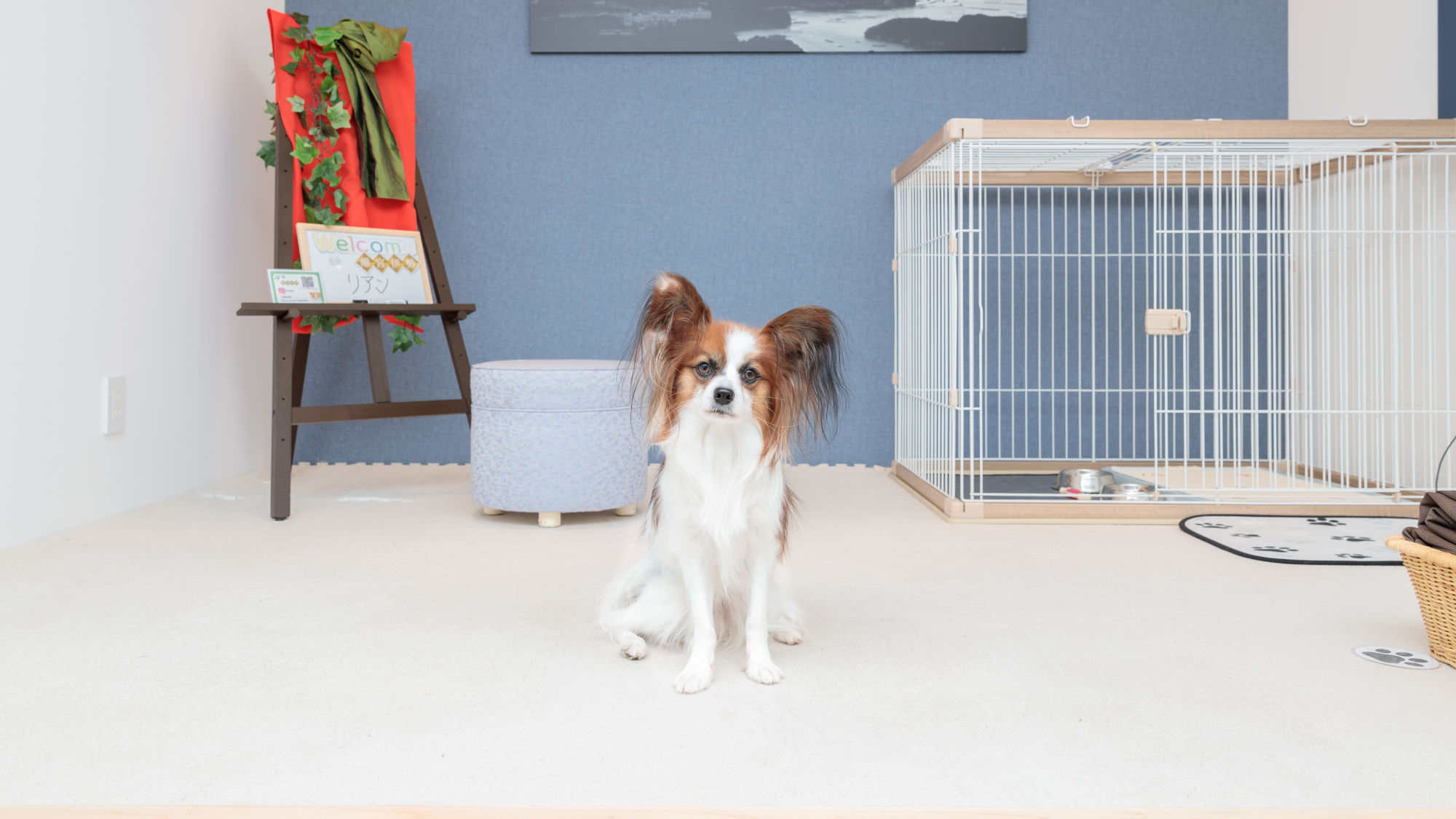 【トレーラーハウス】愛犬OK部屋