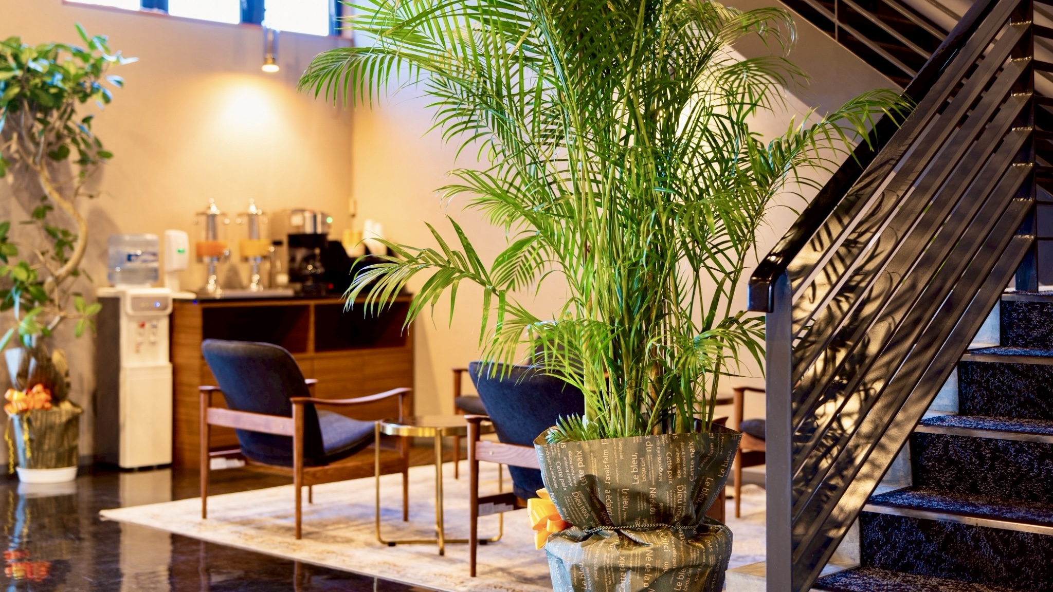 フリードリンク