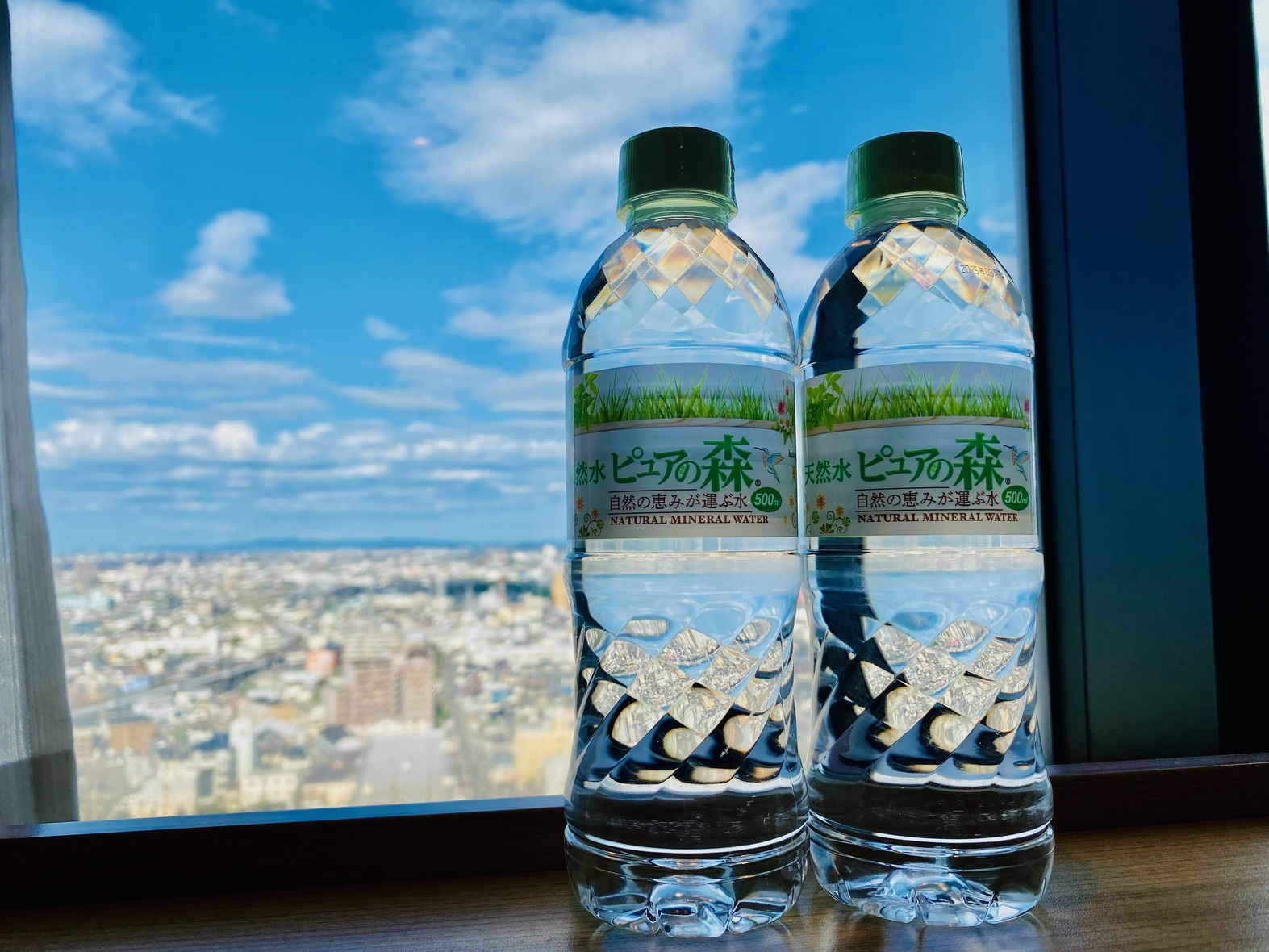 ツインのシングルユース【1名利用】＜素泊り＞