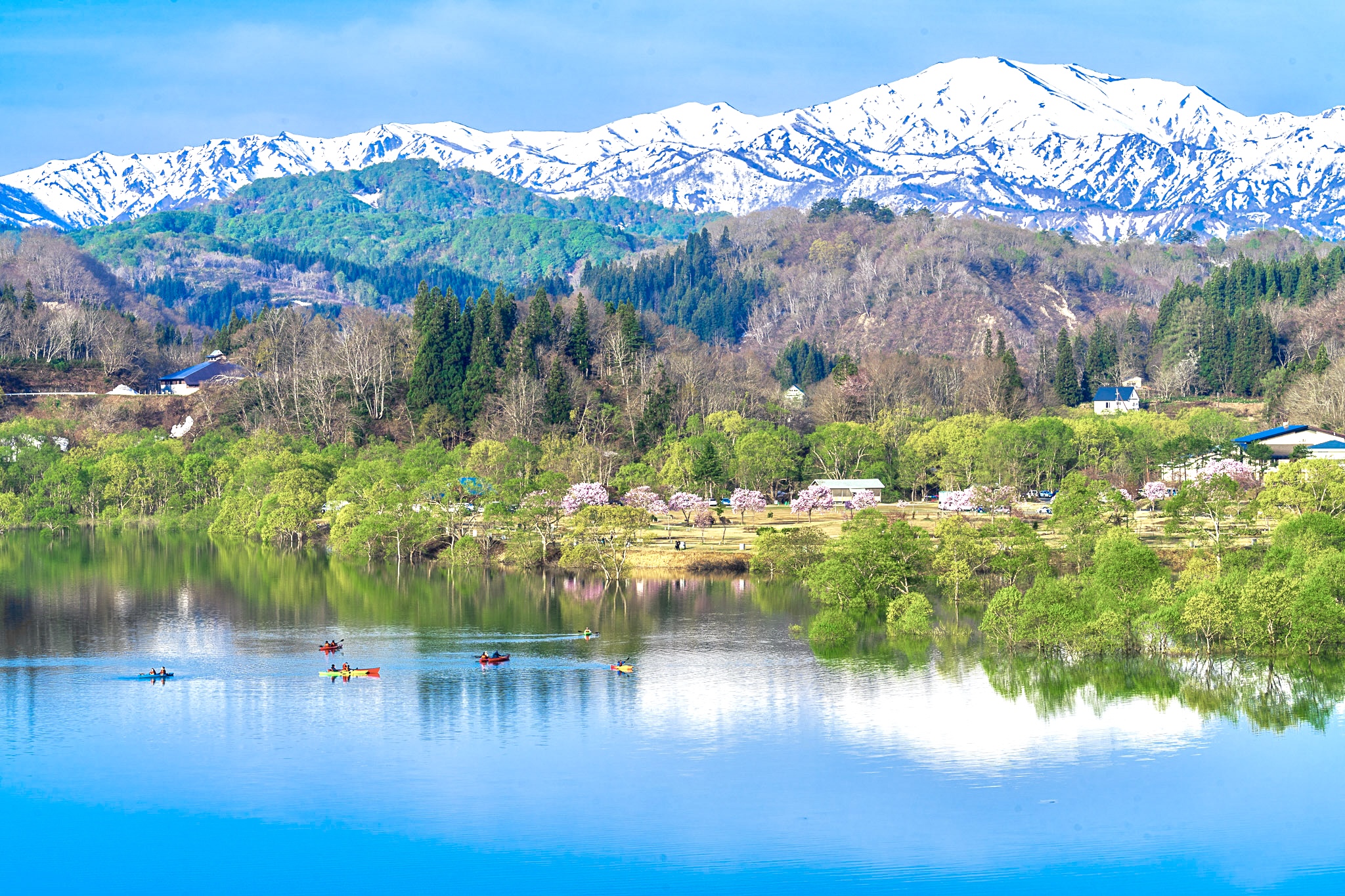 【周辺観光】「水没林カヌー体験」残雪をまとった山々と、芽吹き始めた柳の木の美しいコントラスト。