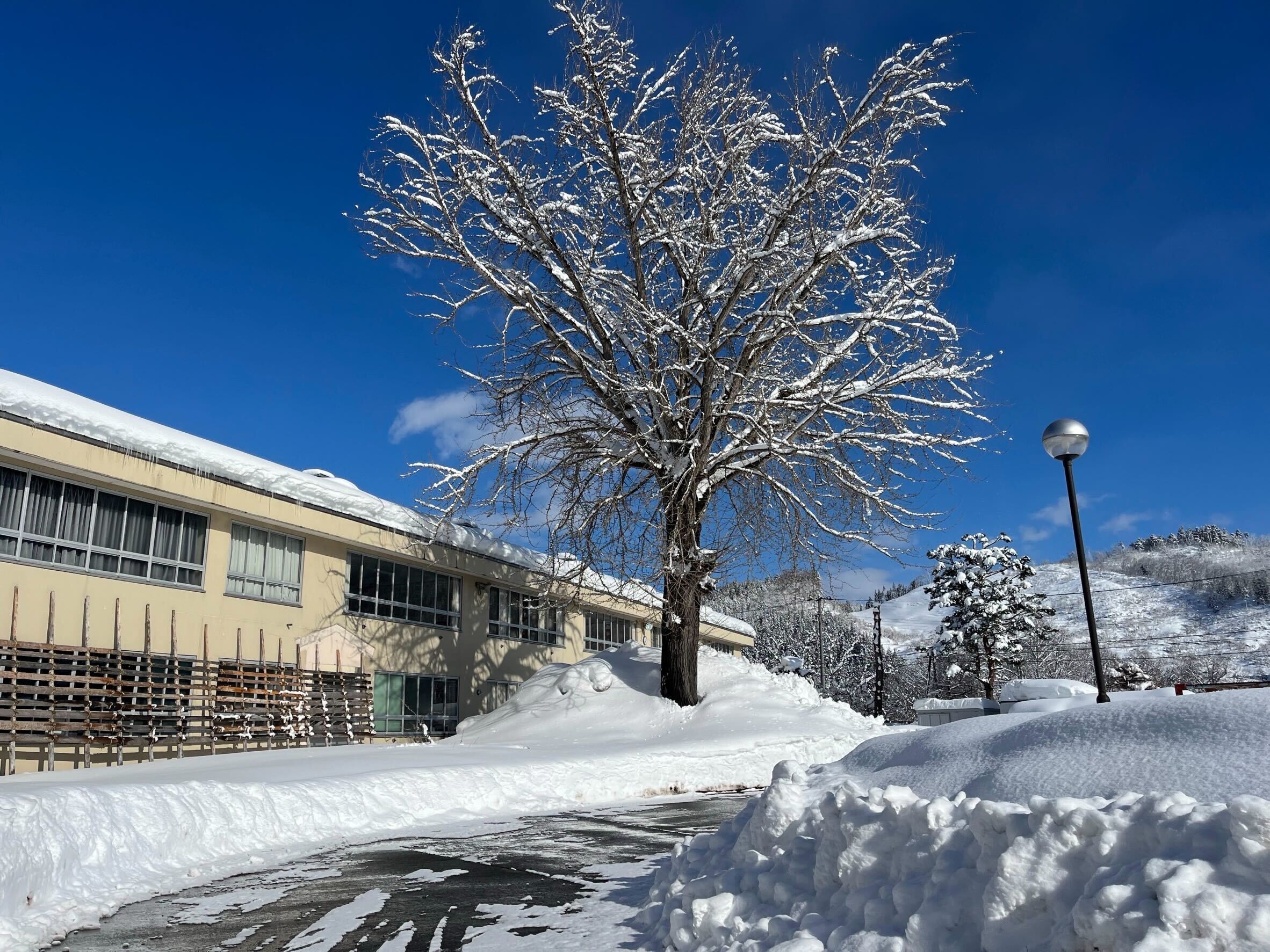 米沢みさわ小学校｜とここと