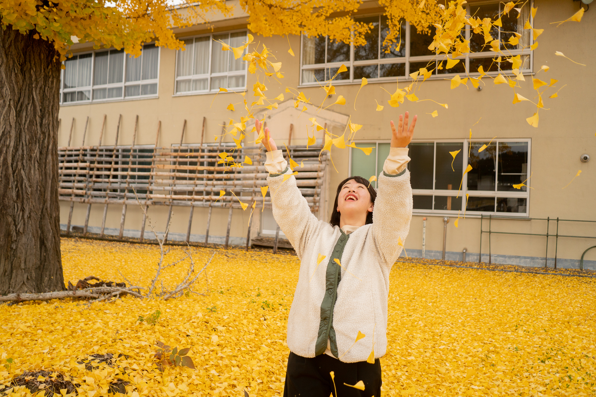 一面に広がるイチョウの絨毯は、まるで童話に出てきそう。