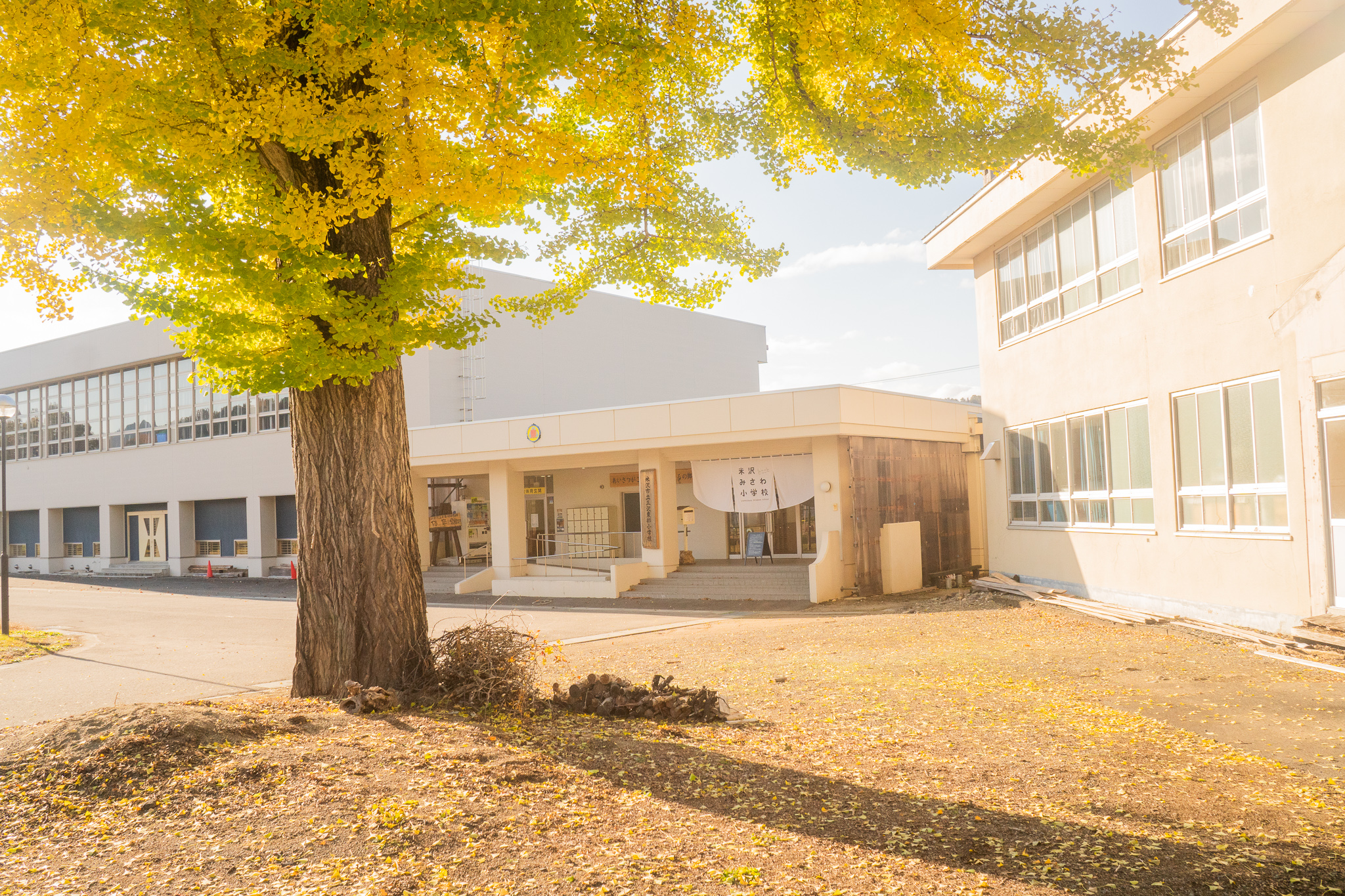 夕陽が差し込む校庭。あたたかい時間が流れます。