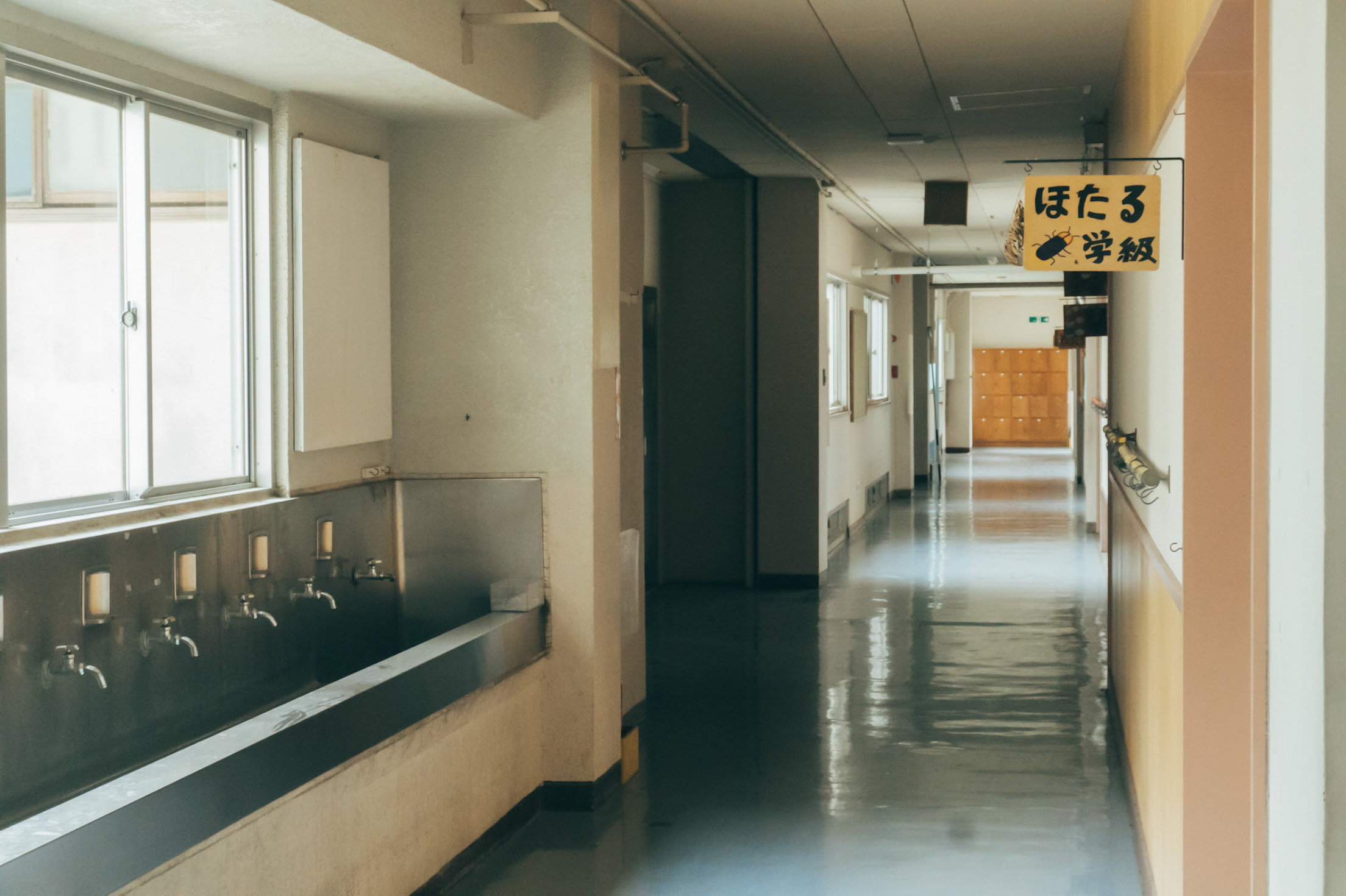 あの頃走った廊下を、もう一度。