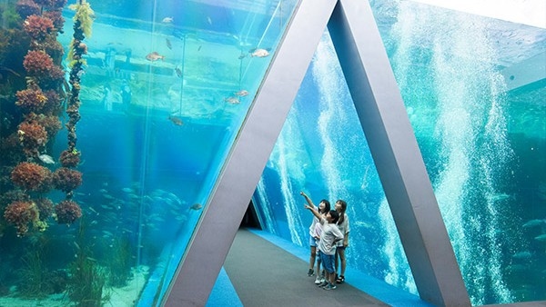 〜きらめく海の世界へ〜環境水族館【アクアマリンふくしま】入場チケット付プラン≪素泊り≫