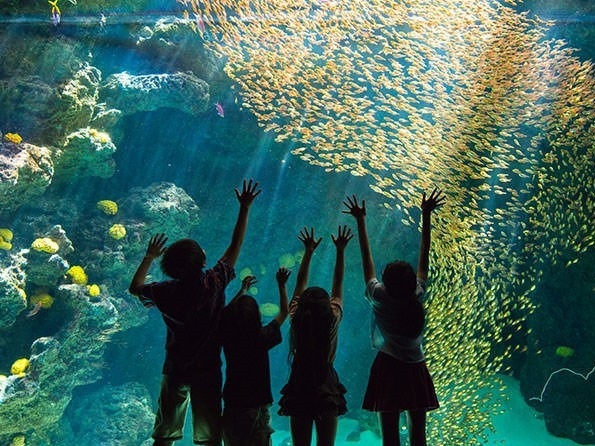 〜きらめく海の世界へ〜環境水族館【アクアマリンふくしま】入場チケット付プラン≪素泊り≫
