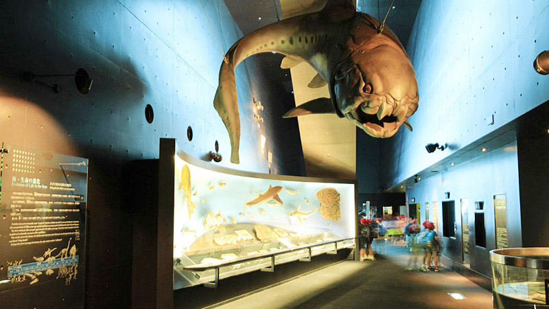 周辺観光　アクアマリンふくしま（２）