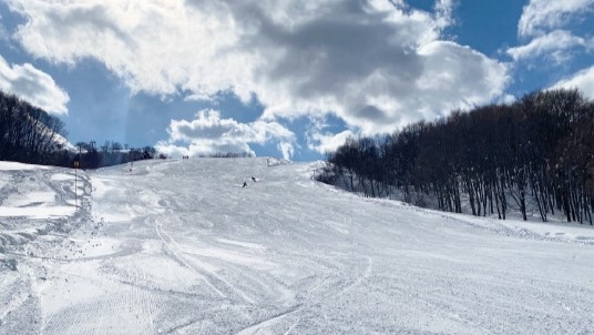 【２食付き】糸魚川の季節の旬な地物食材をたっぷり堪能！夕食・朝食付きプラン