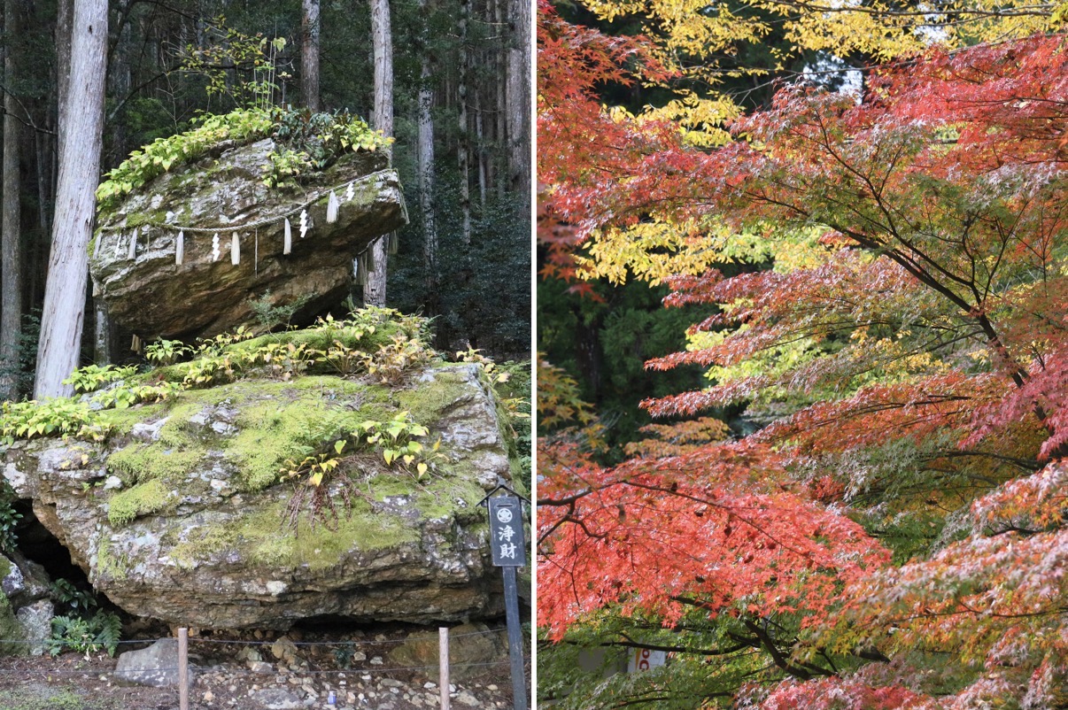 戸隠神社(左)、古今伝授の里フィールドミュージアム(右)