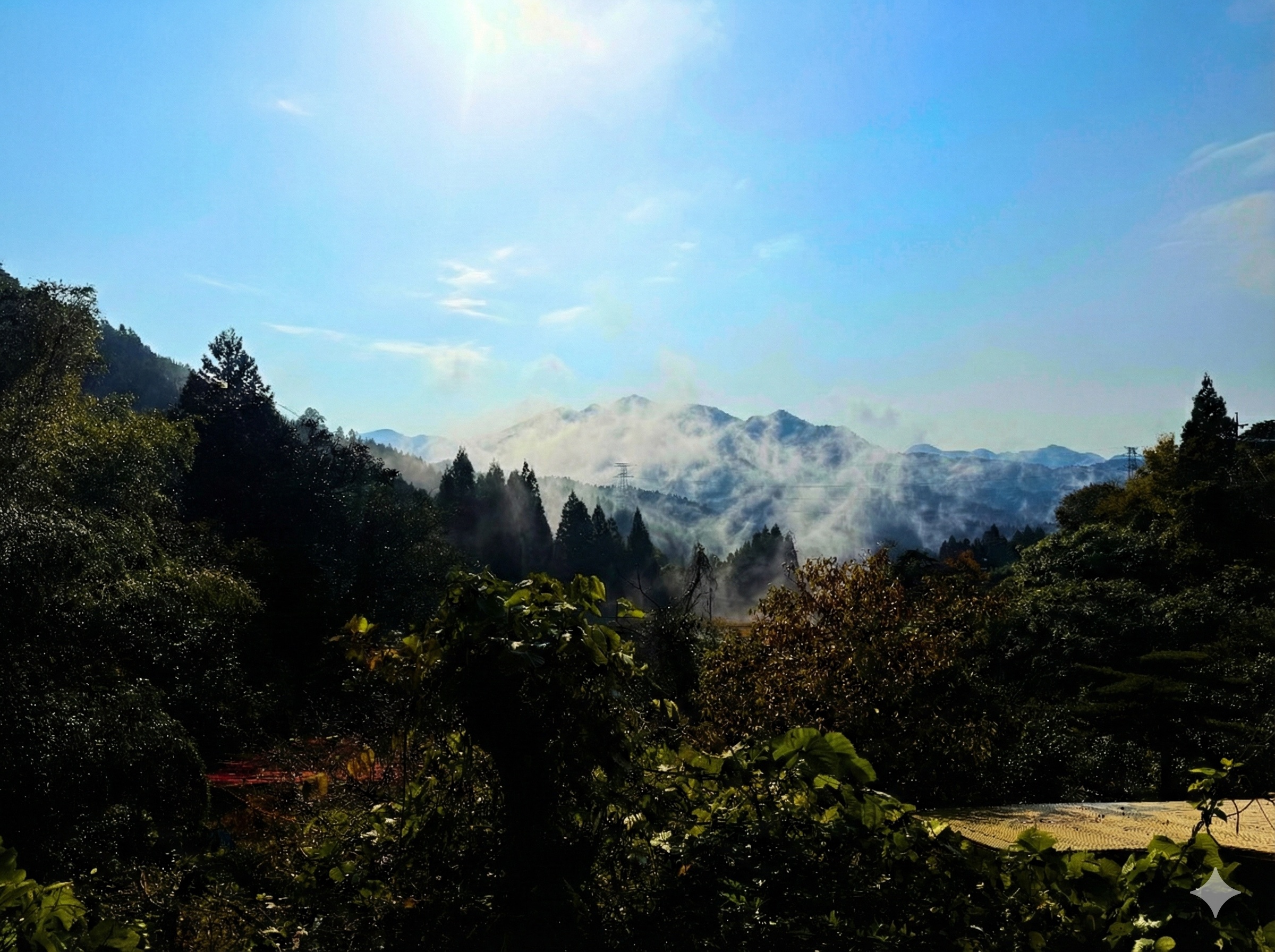 一面が緑の山々と幻想的な霧が出る朝は、爽快で唯一無二の体験です。