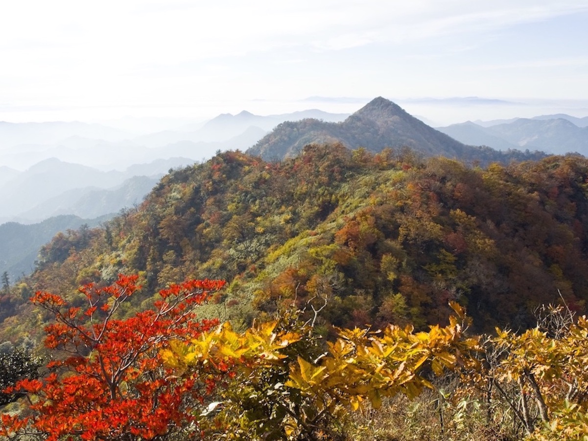 秋は、御前岳南側の御側渓谷から山頂にかけて、コミネカエデやコハウチワカエデなどの紅葉が素晴らしく、釈迦岳・御前岳との縦走ができる登山コースがあります。