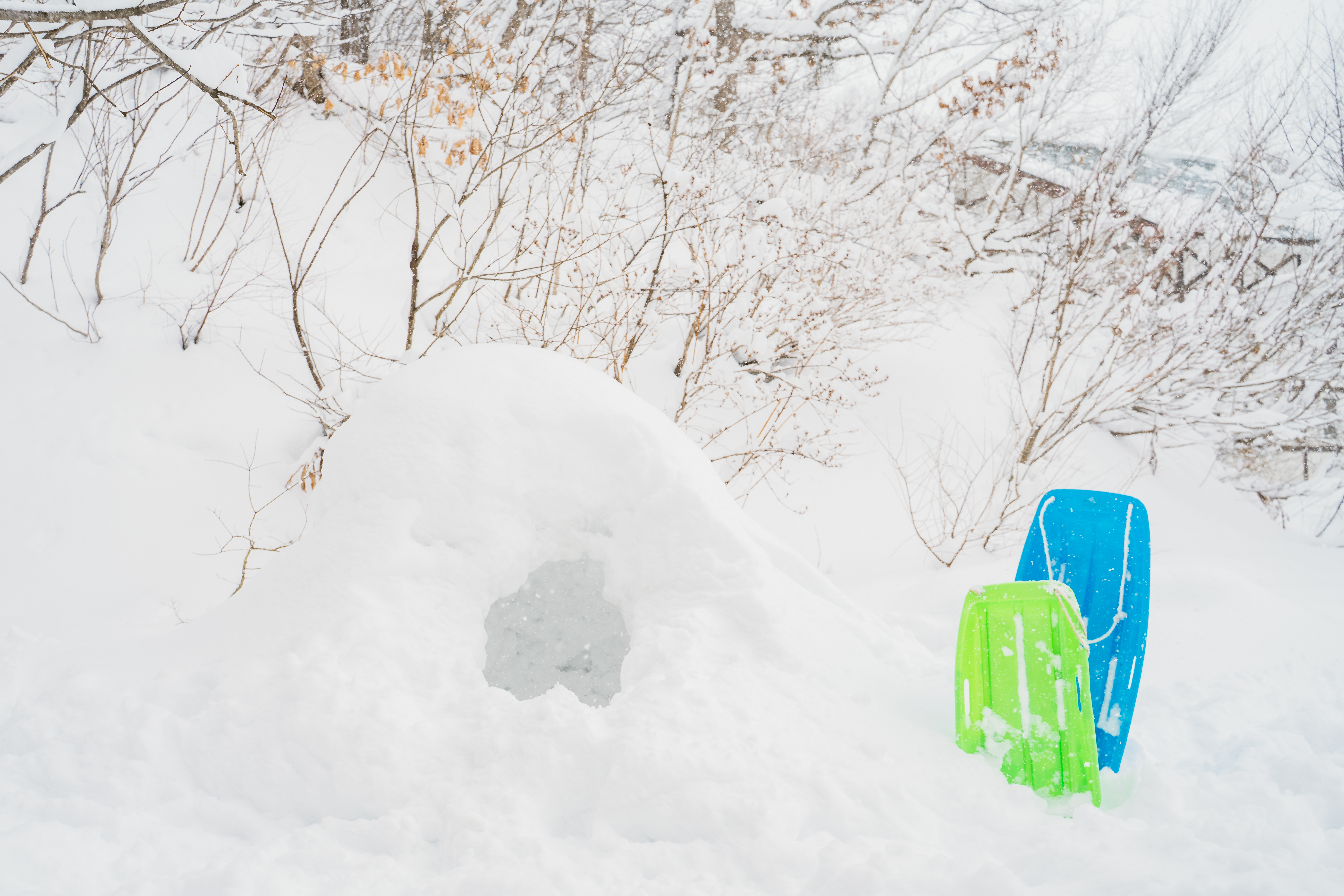 裏庭miniスノーパーク　かまくらだってできちゃいます！