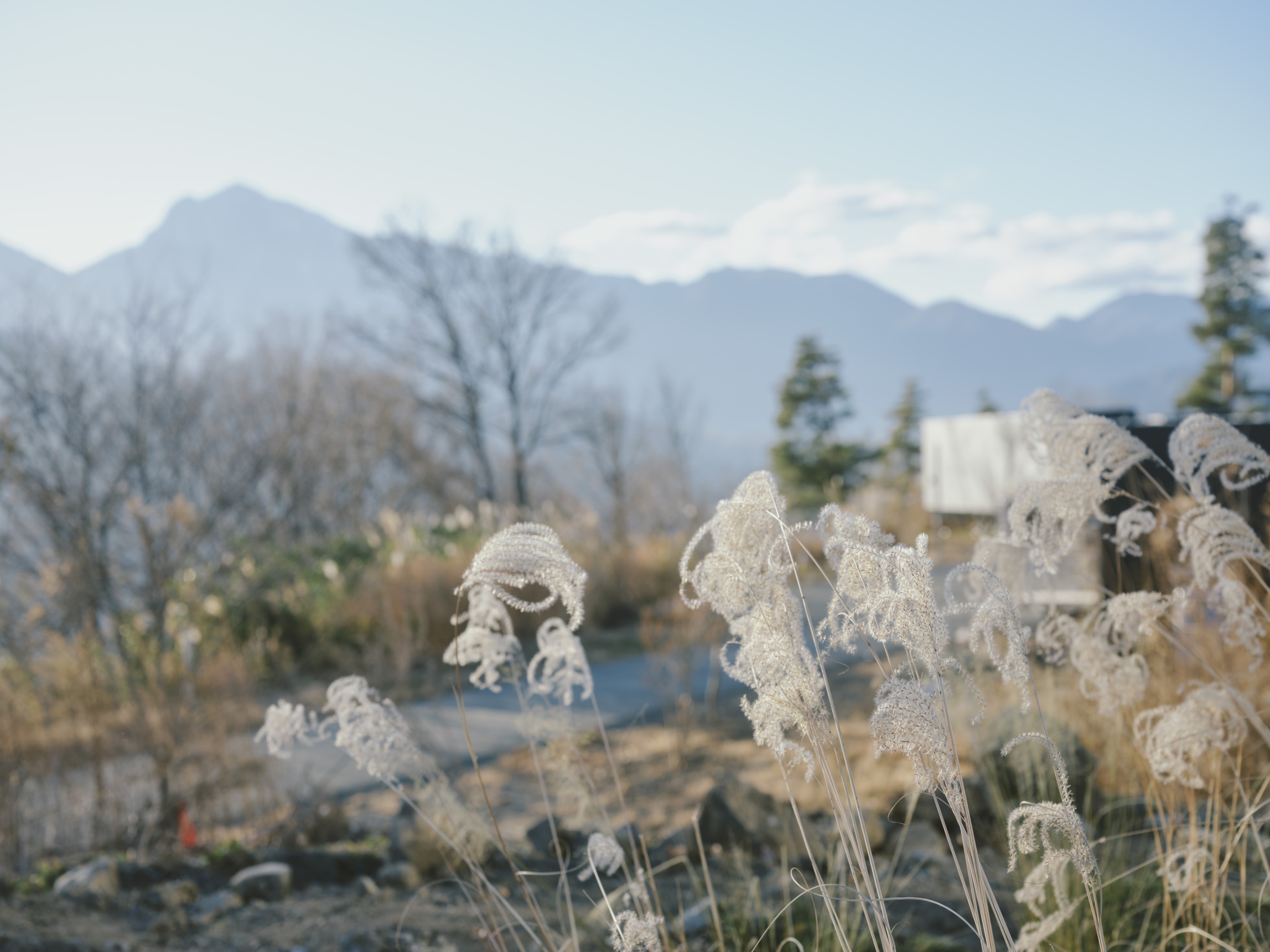 【プレオープン限定】宿泊料20％OFFモニタープラン（素泊まり）