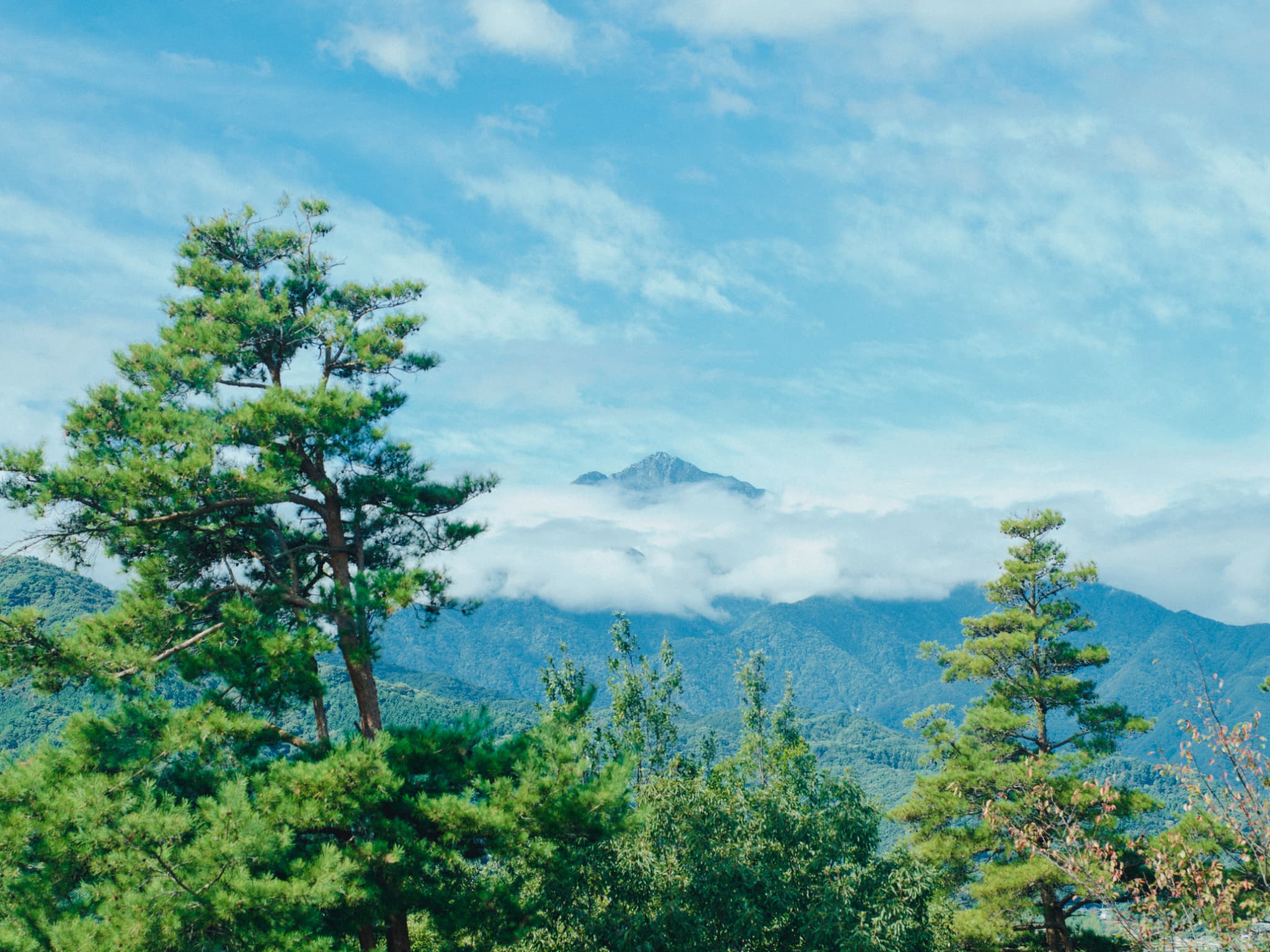 大自然に包まれるひとときをお過ごしください。