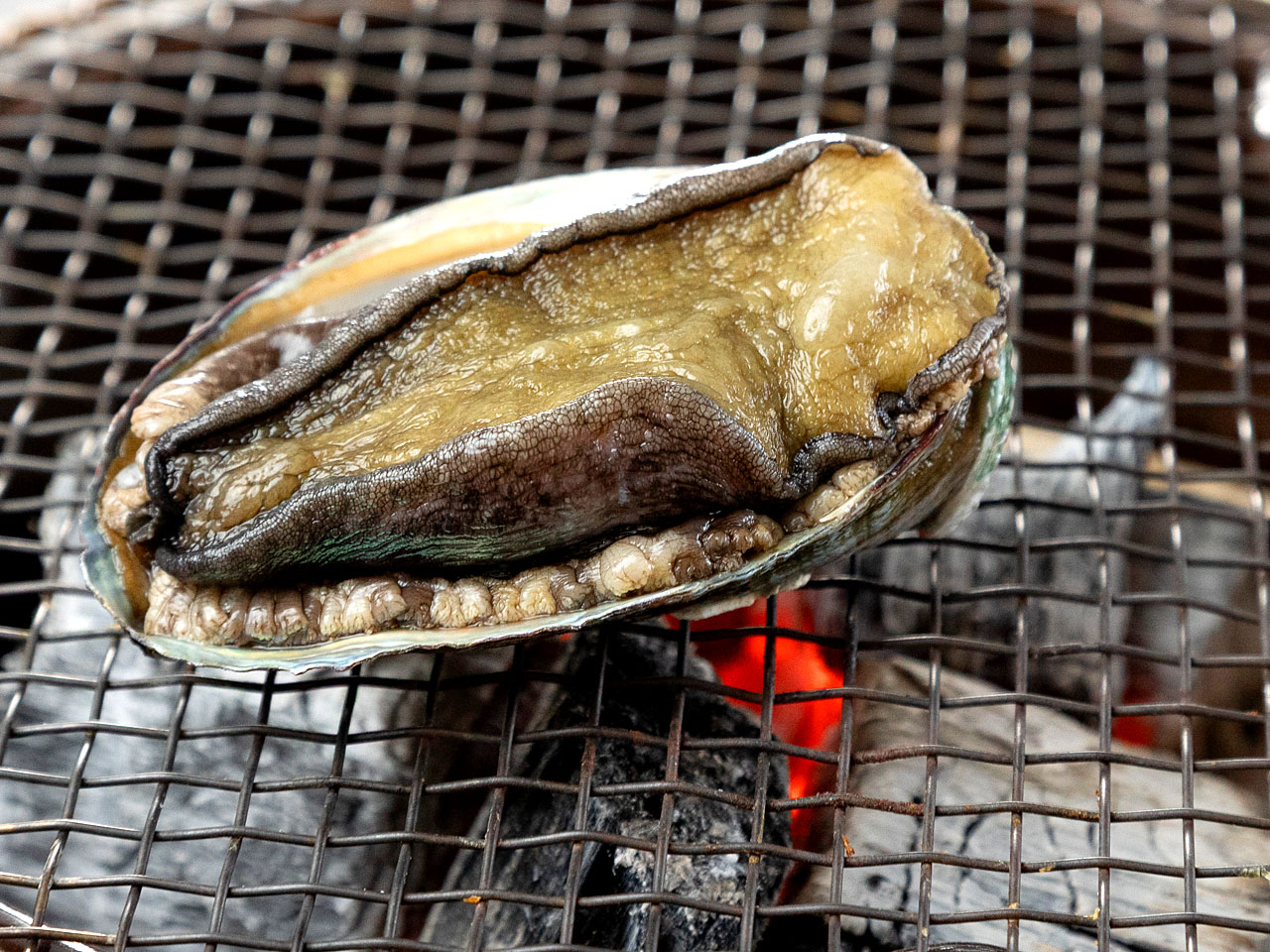 アワビの炭火焼き