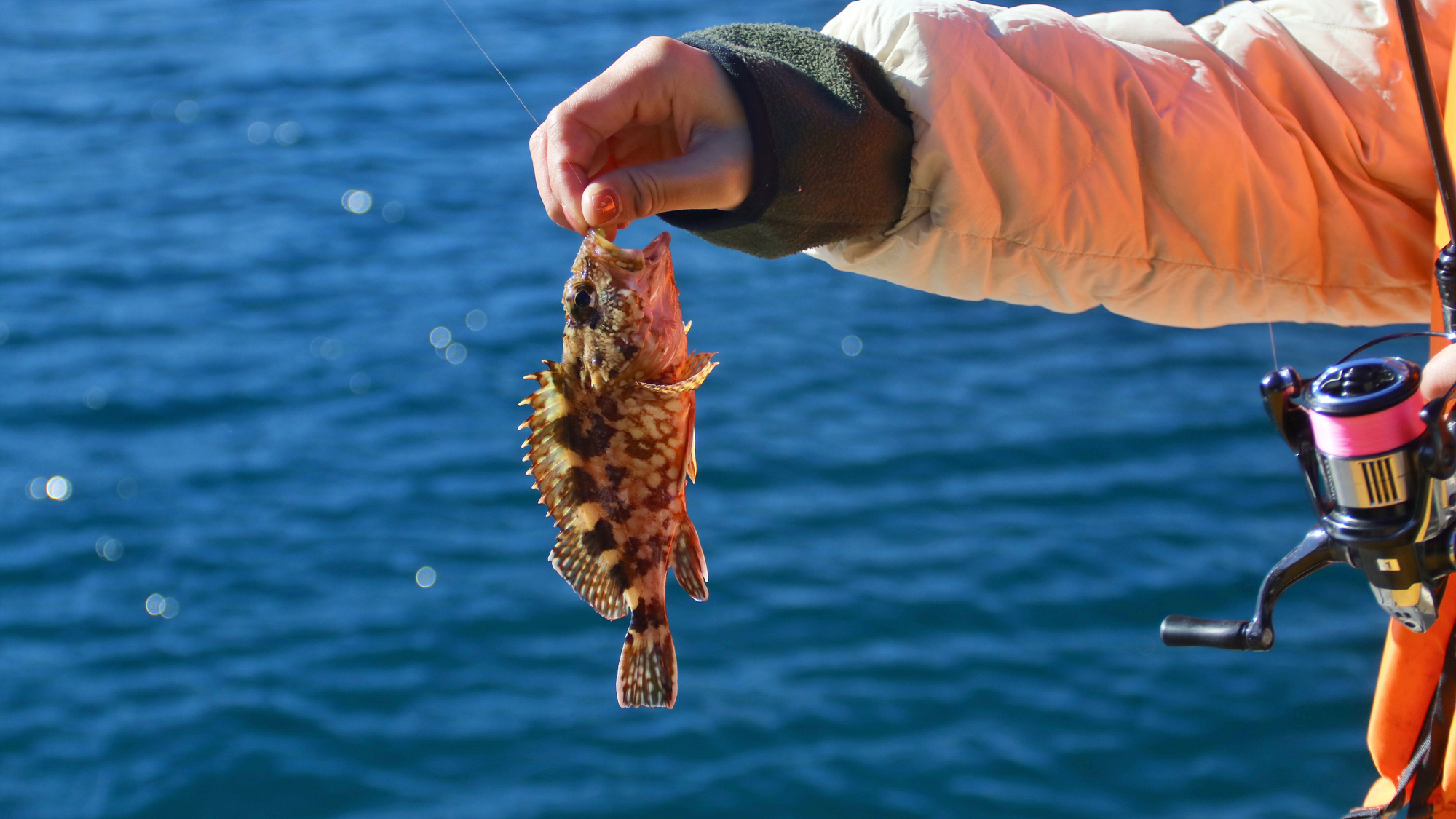【釣り】大人からお子供まで楽しめる♪ 